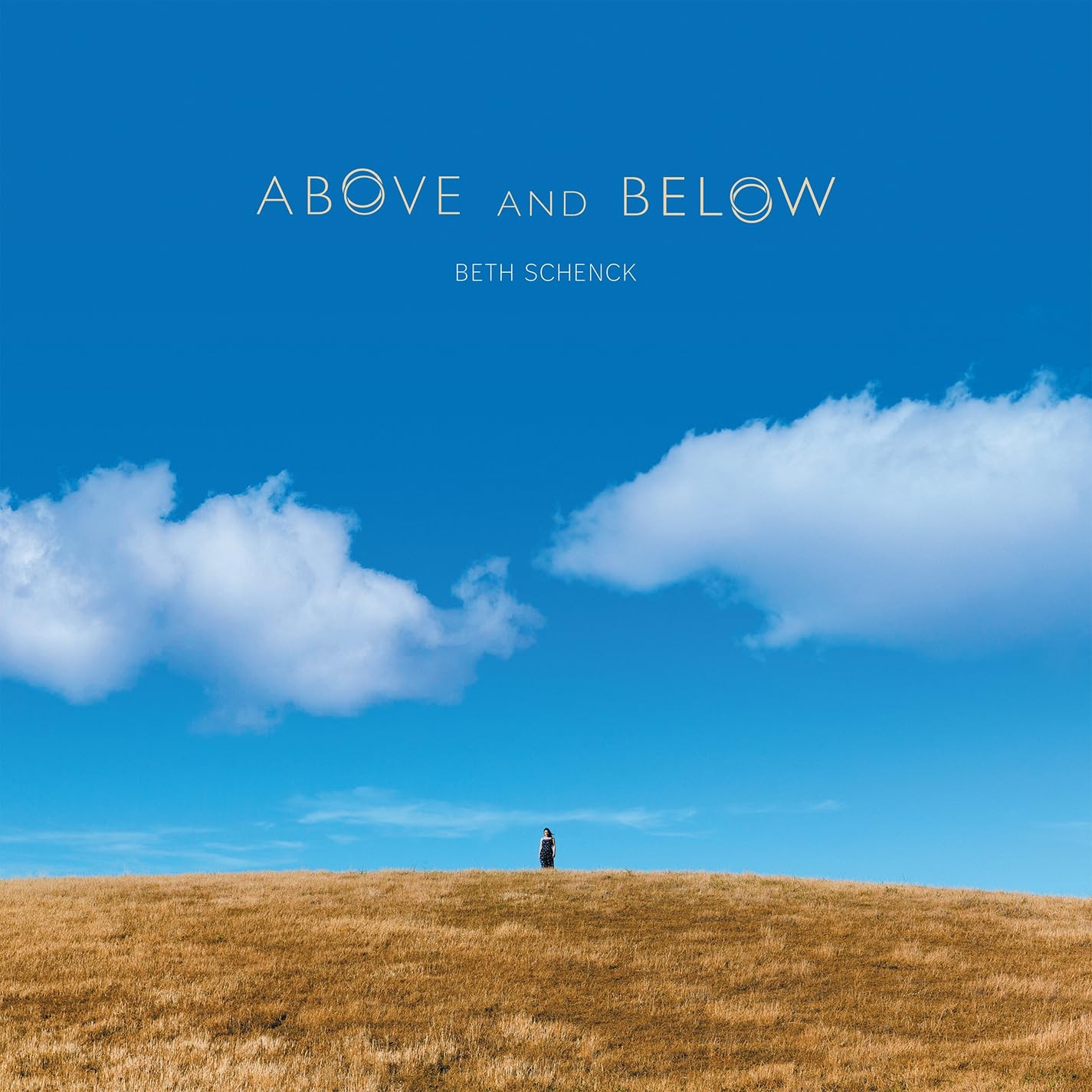 N/A Schenck: Above & Below (Vinyl)