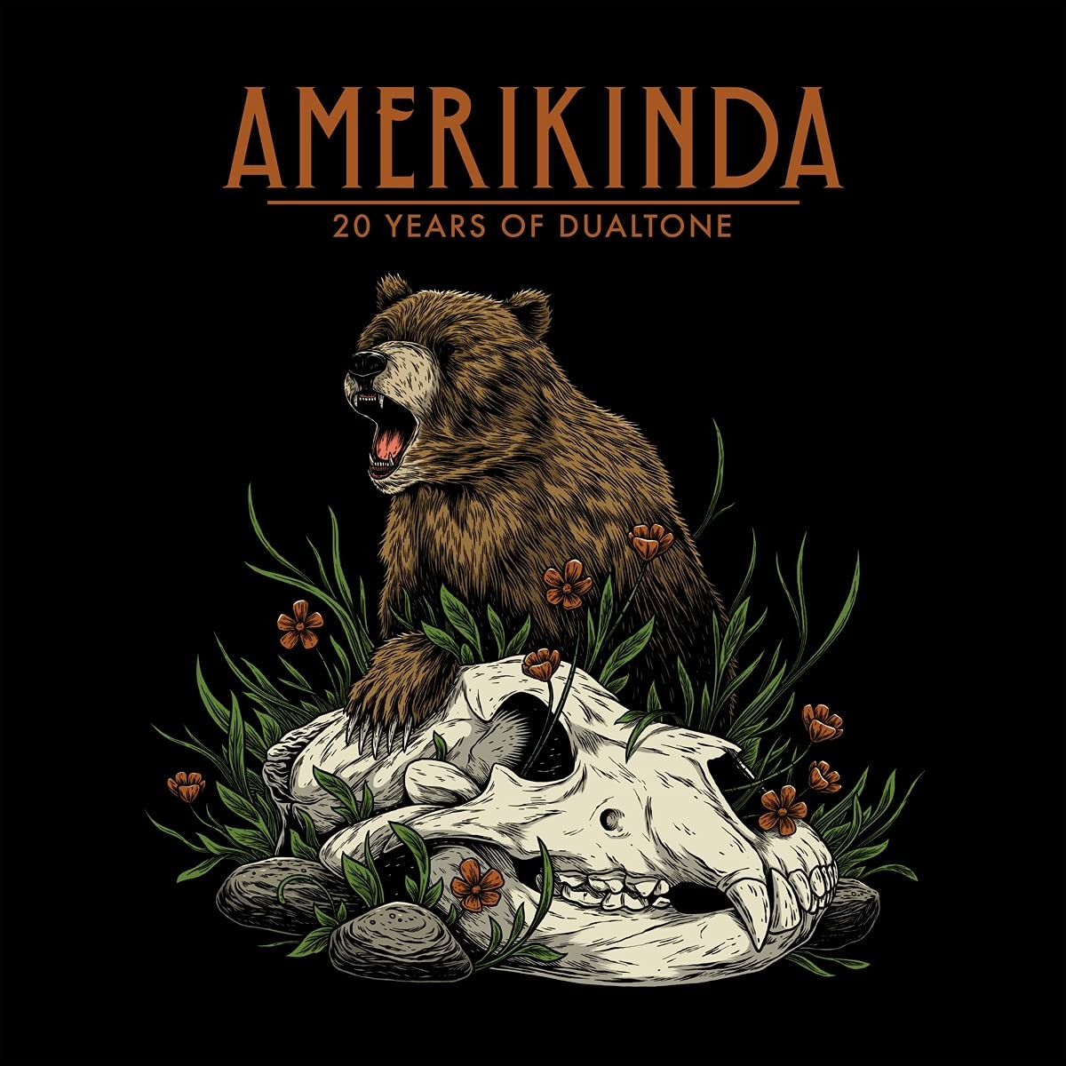 Amerikinda: 20 Years Of Dualtone Various Artists [LP record]
