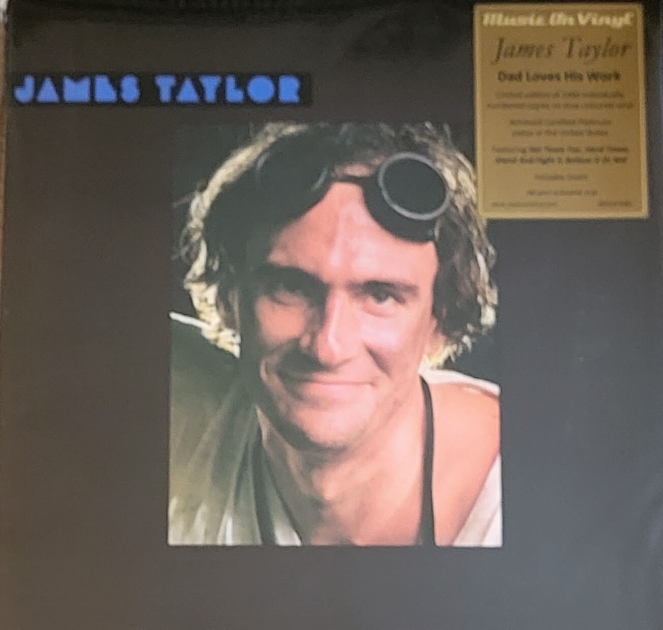JAMES TAYLOR DAD LOVES HIS WORK – 180-GRAM BLUE VINYL ” NEW, SEALED “