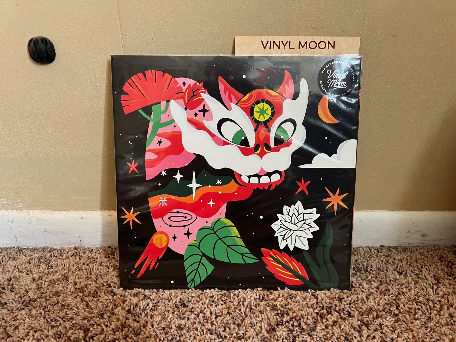 Vinyl Moon-Where Art & Music Meet. Record. Vinyl. Special Editions. Collectible.