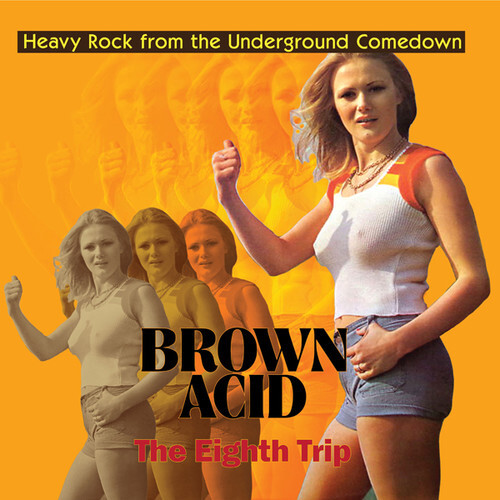 Various Artists – Brown Acid – The Eighth Trip (Various Artists) [New Vinyl LP]
