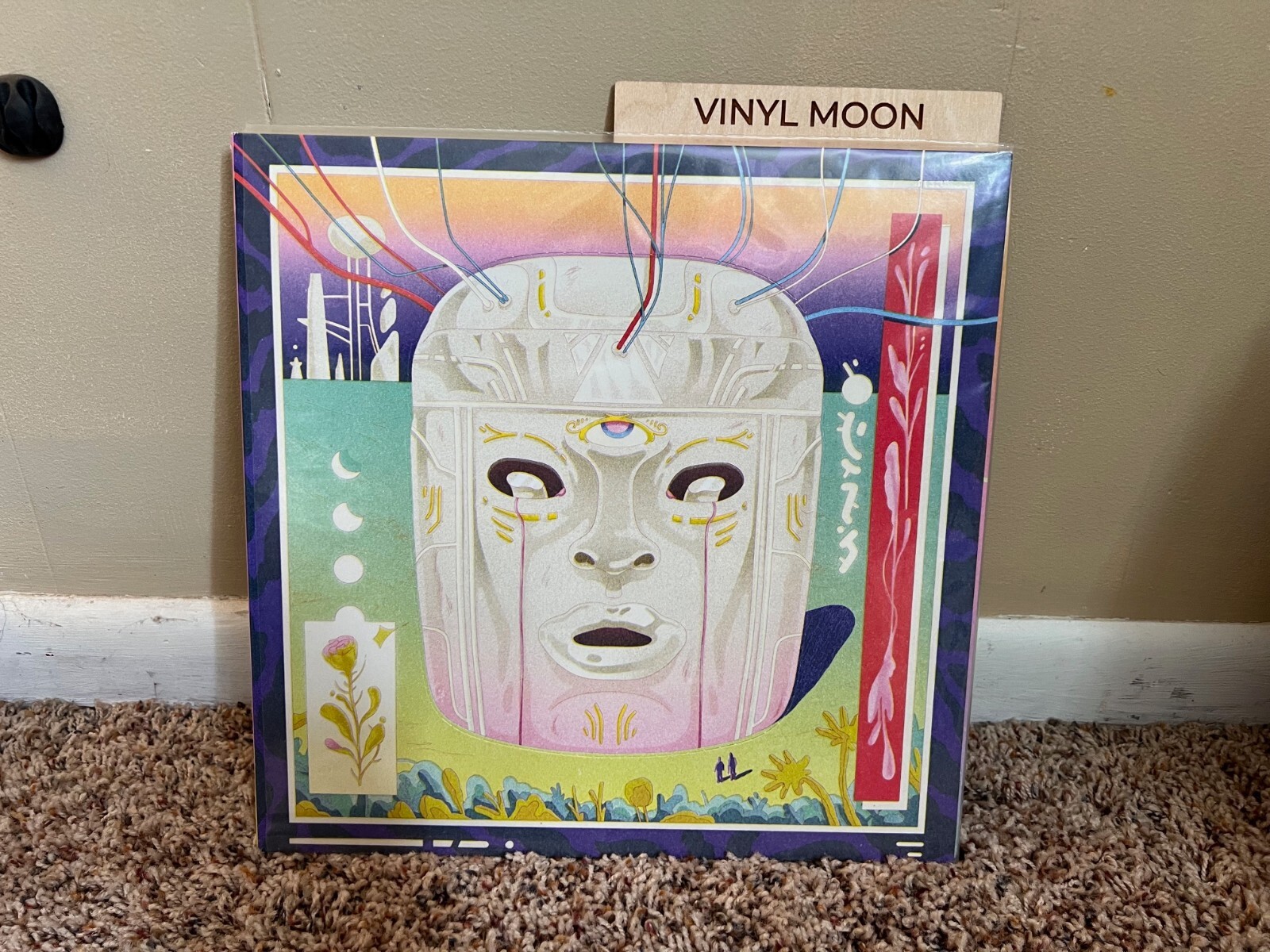Vinyl Moon-Where Art & Music Meet. Record. Vinyl. Special Editions. Collectible.
