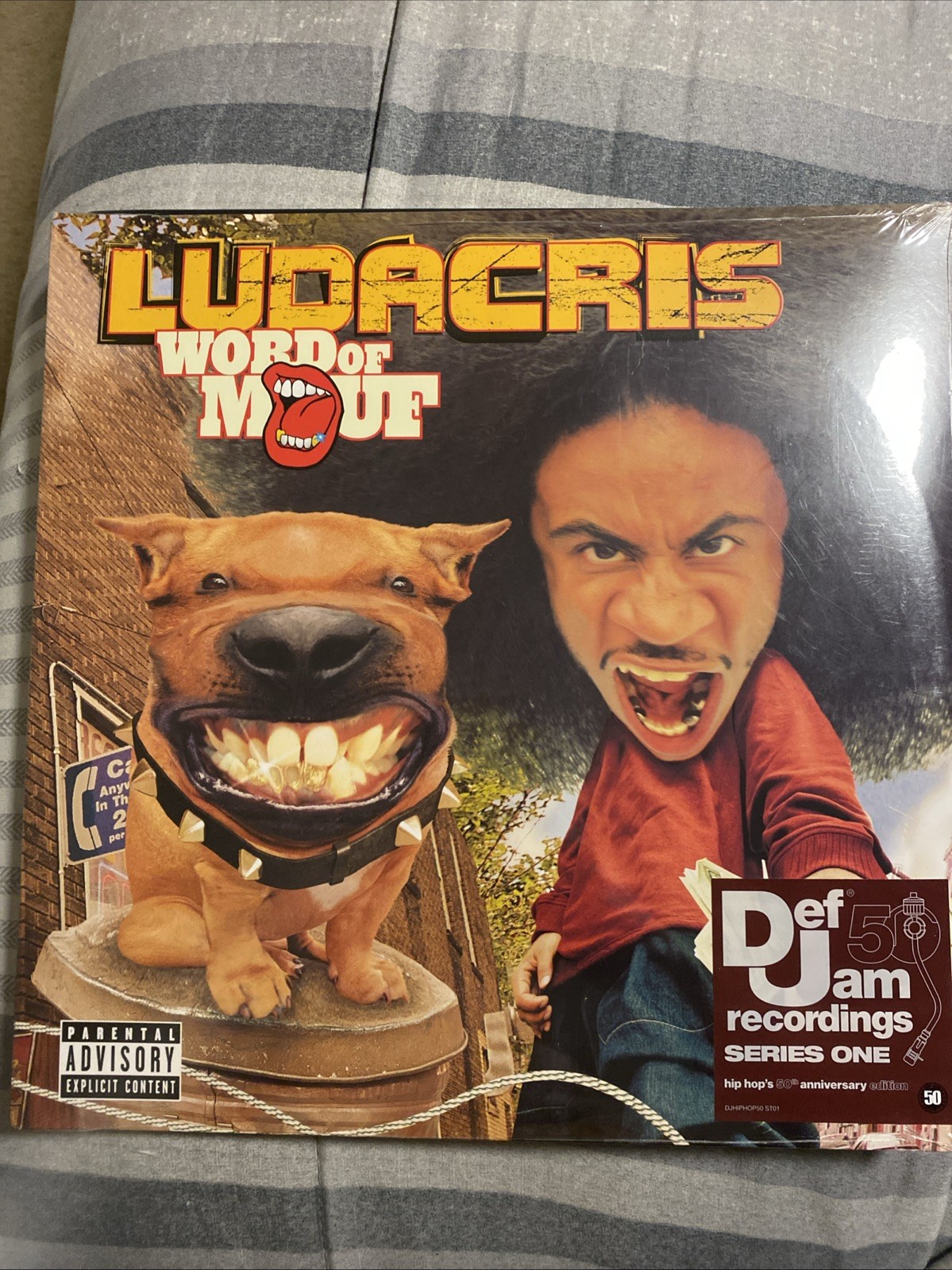 Vinyl Record Collection 2 Disc Ludacris Word of Mouth Hip Hop Rap Brand New