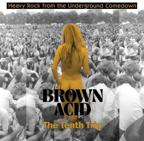 Various Artists – Brown Acid – The Tenth Trip (Various Artists) [New Vinyl LP]
