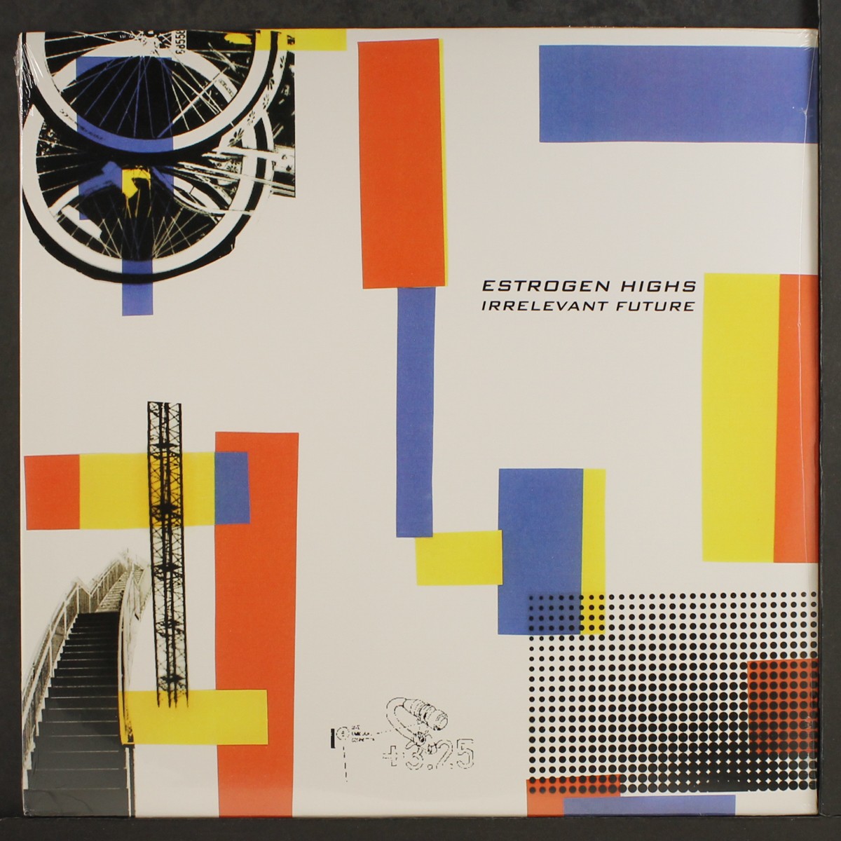 ESTROGEN HIGHS: irrelevant future TROUBLE IN MIND 12″ LP 33 RPM Sealed