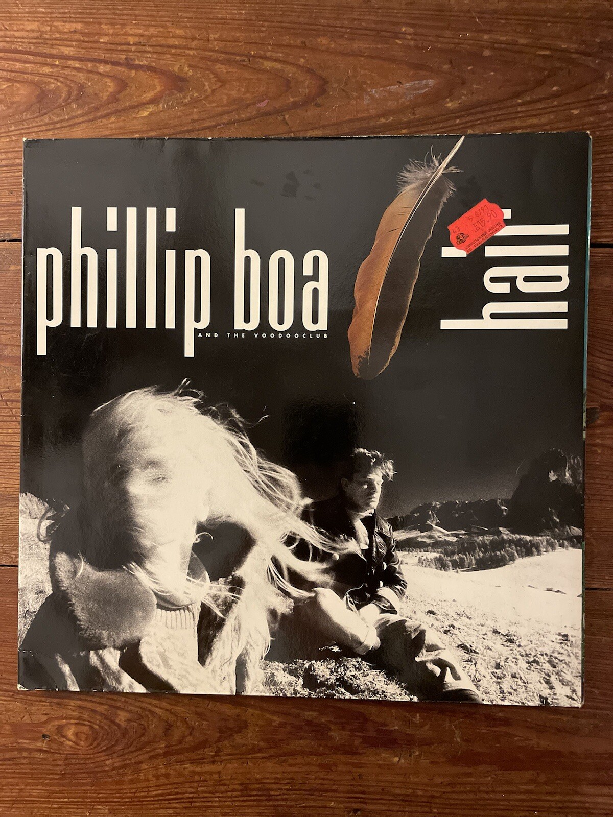 Hair – Phillip Boa and The Voodoo Club (1989 Vinyl – Polydor – West Germany)