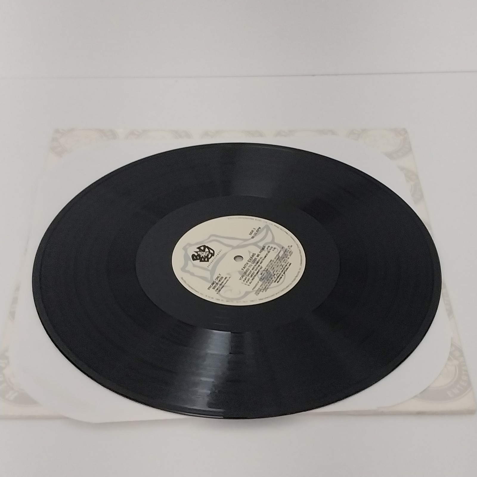 Faith Evans – You Used To Love Me – Promo Single LP – Bad Boy Entertainment