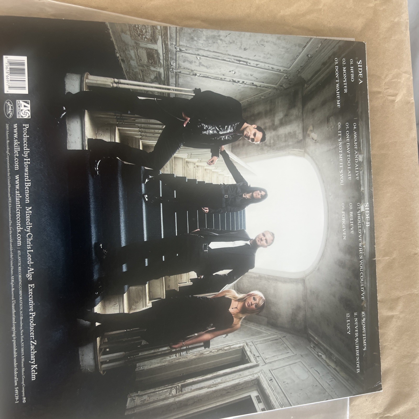 Skillet Awake Vinyl LP