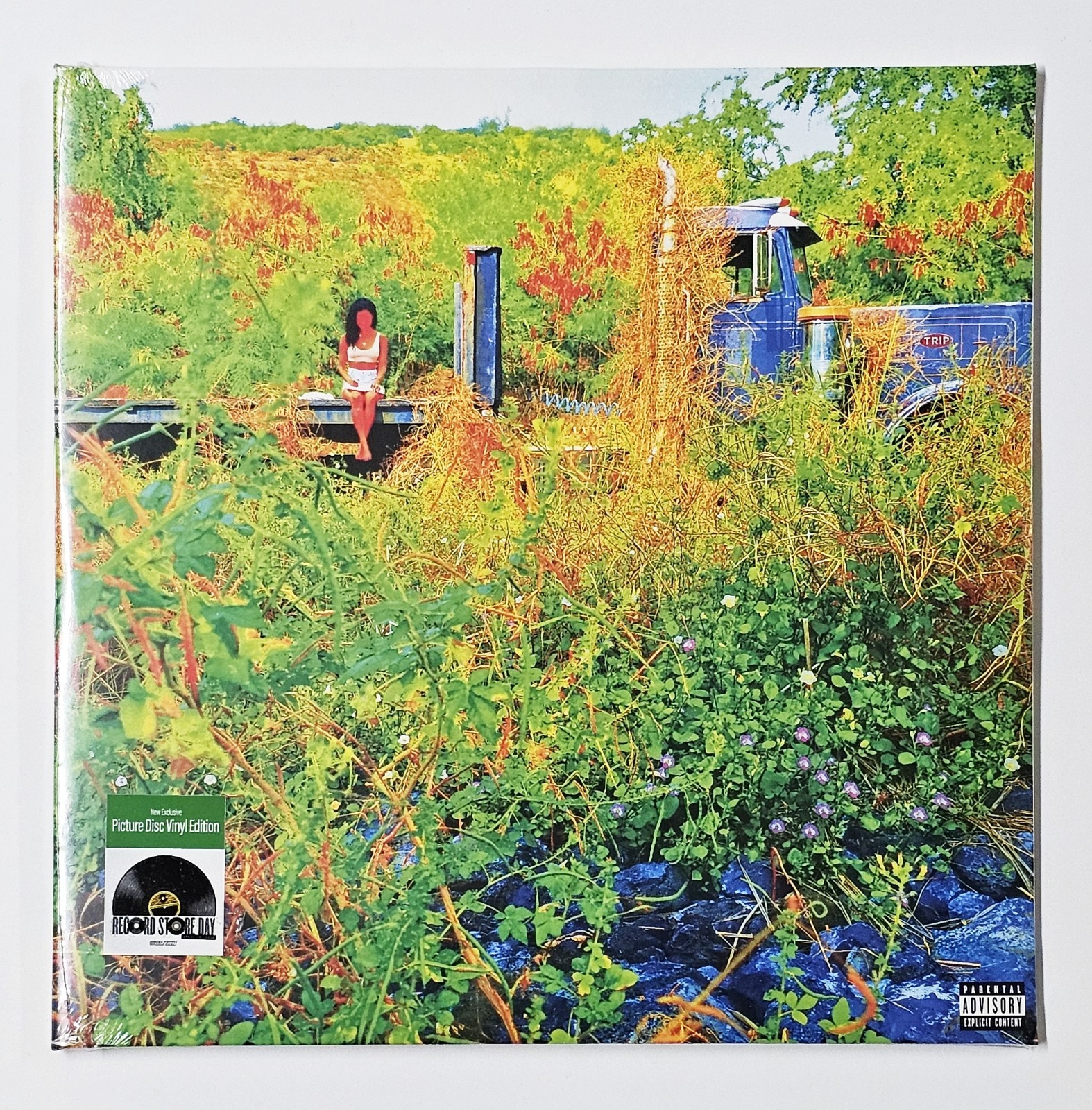 Jhene Aiko Trip 2LP Picture Disc Vinyl LE / 2000 RSD 2026 Factory Sealed New