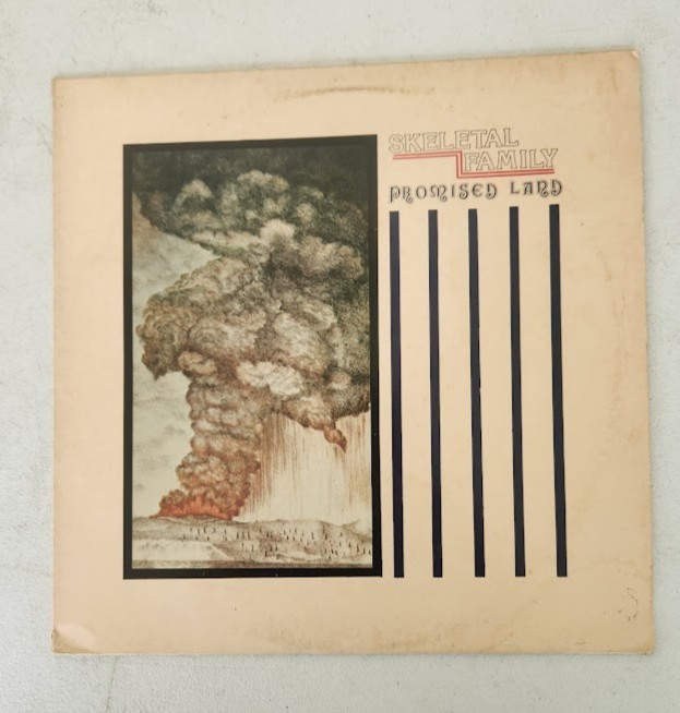 Skeletal Family – Promised Land -Vinyl Record VG+ UK Press Ultrasonic Cleaned