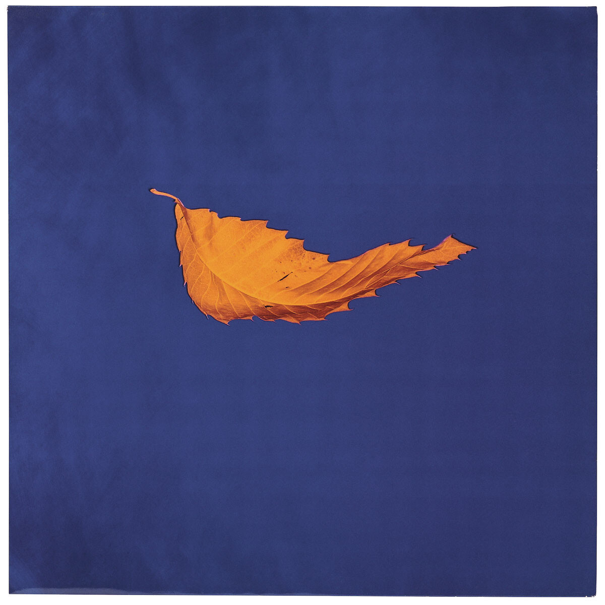 NEW ORDER: TRUE FAITH (German Reissue)(Factory2023)