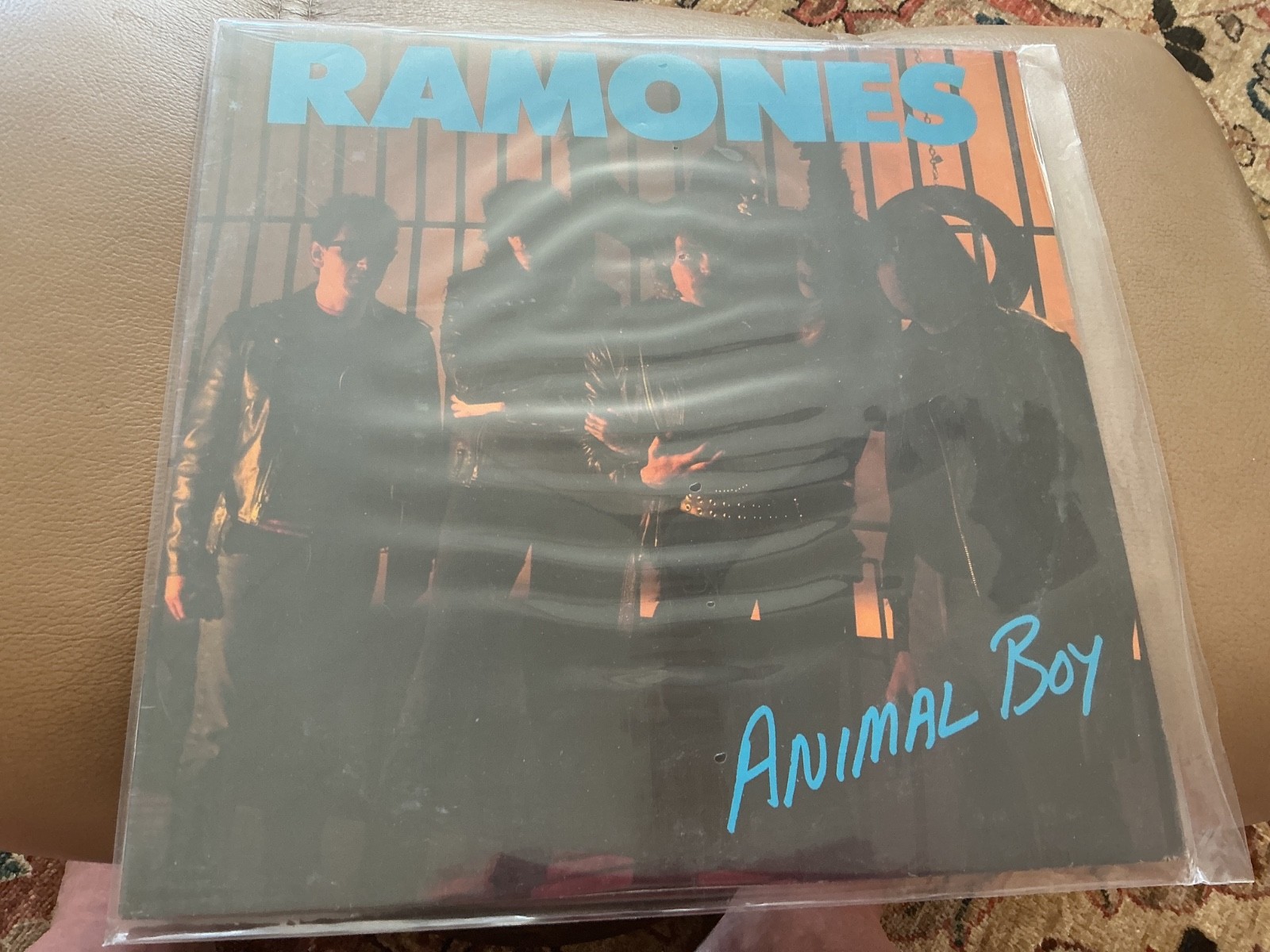Ramones orig punk LP Animal Boy, Sire US, Sealed! free shipping