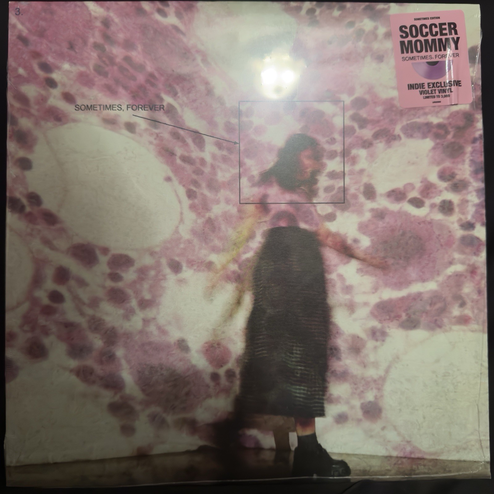 SOCCER MOMMY Sometimes, Forever LOMA VISTA Pop LP sealed VIOLET VINYL Record NEW