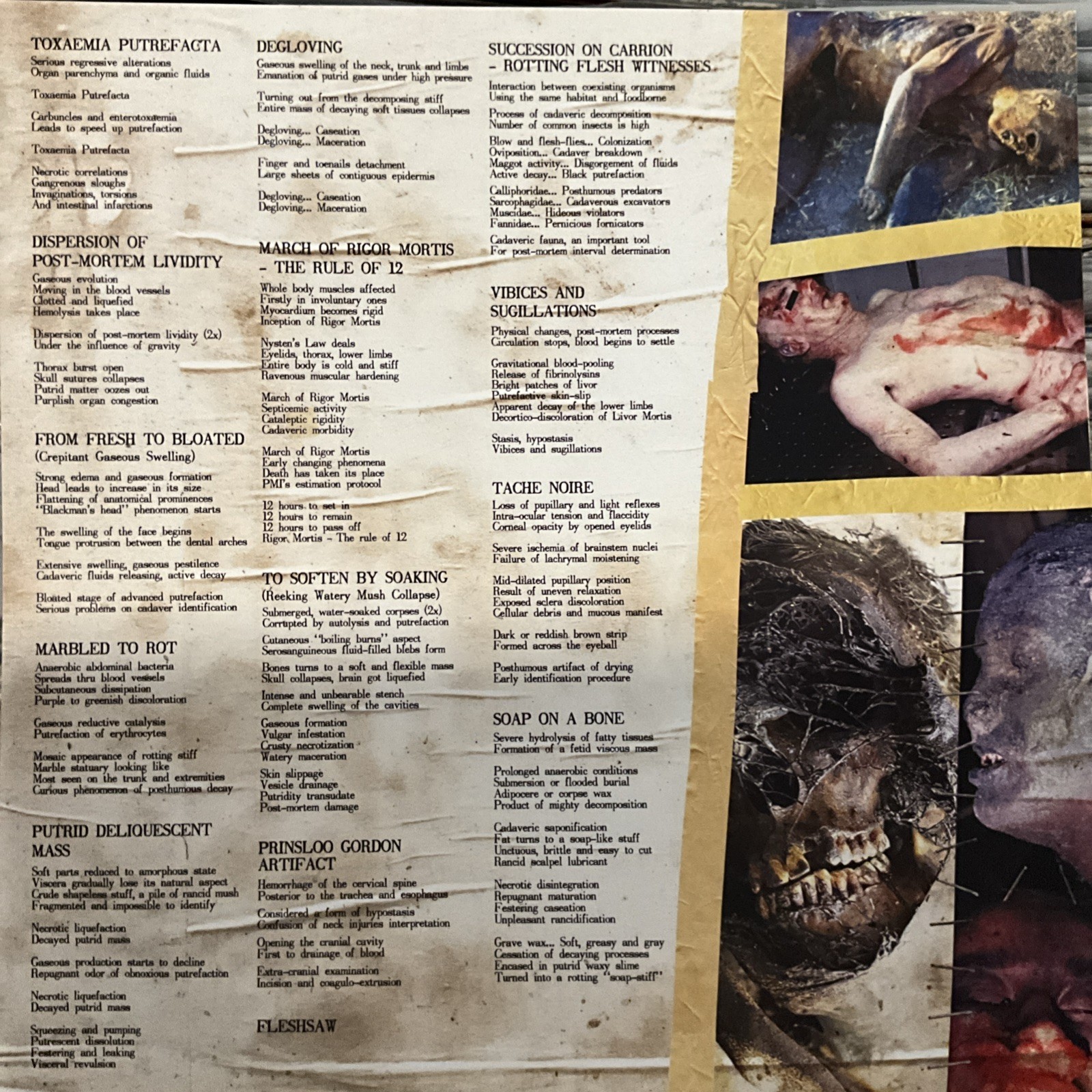 Putrefaction Sets In – Repugnant Inception LP 2022 F.O.A.D. Records – 273 EX/EX