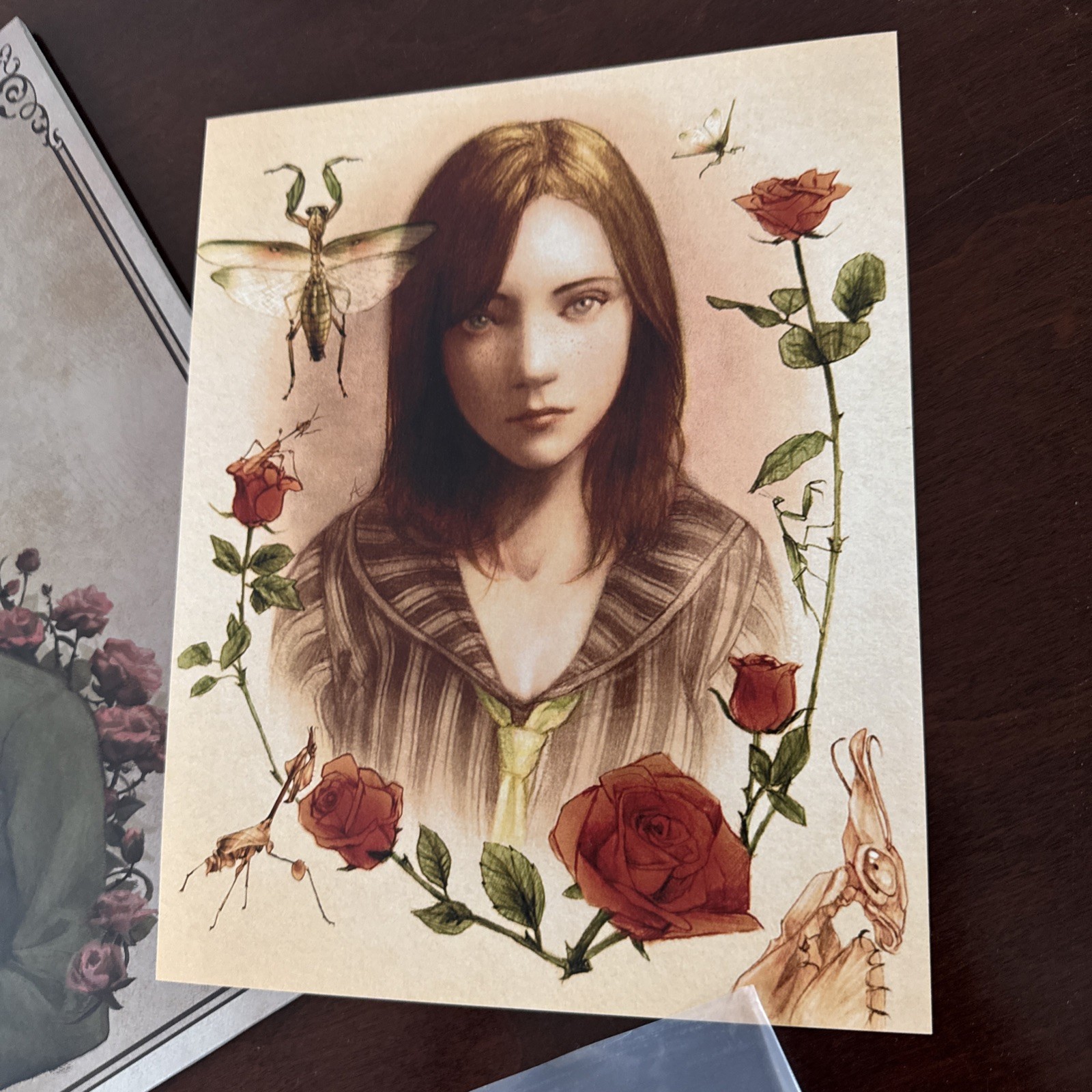 Rule of Rose Vinyl LP Record Soundtrack VGM OST Playstation 2 PS2 Not Moonshake