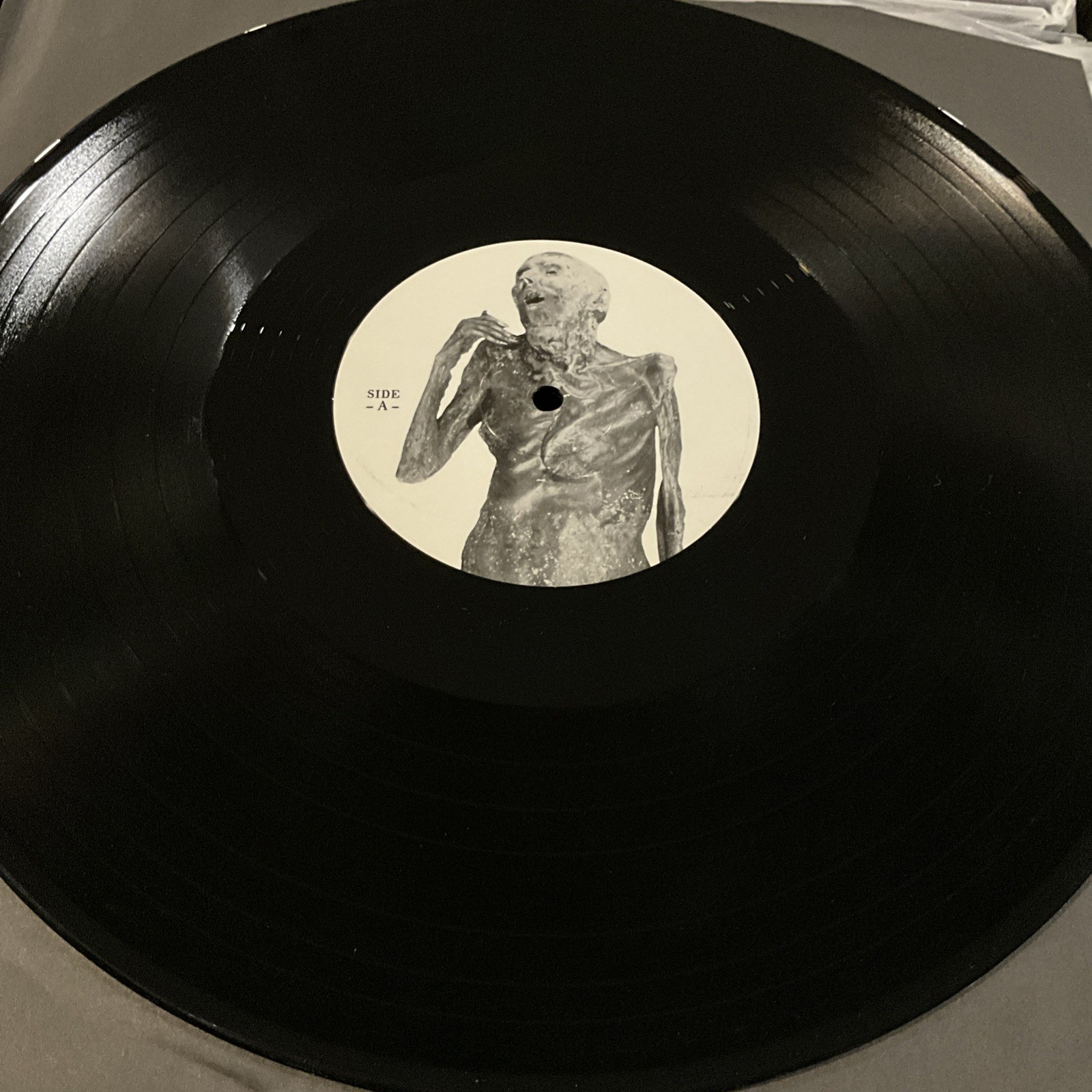 Putrefaction Sets In – Repugnant Inception LP 2022 F.O.A.D. Records – 273 EX/EX