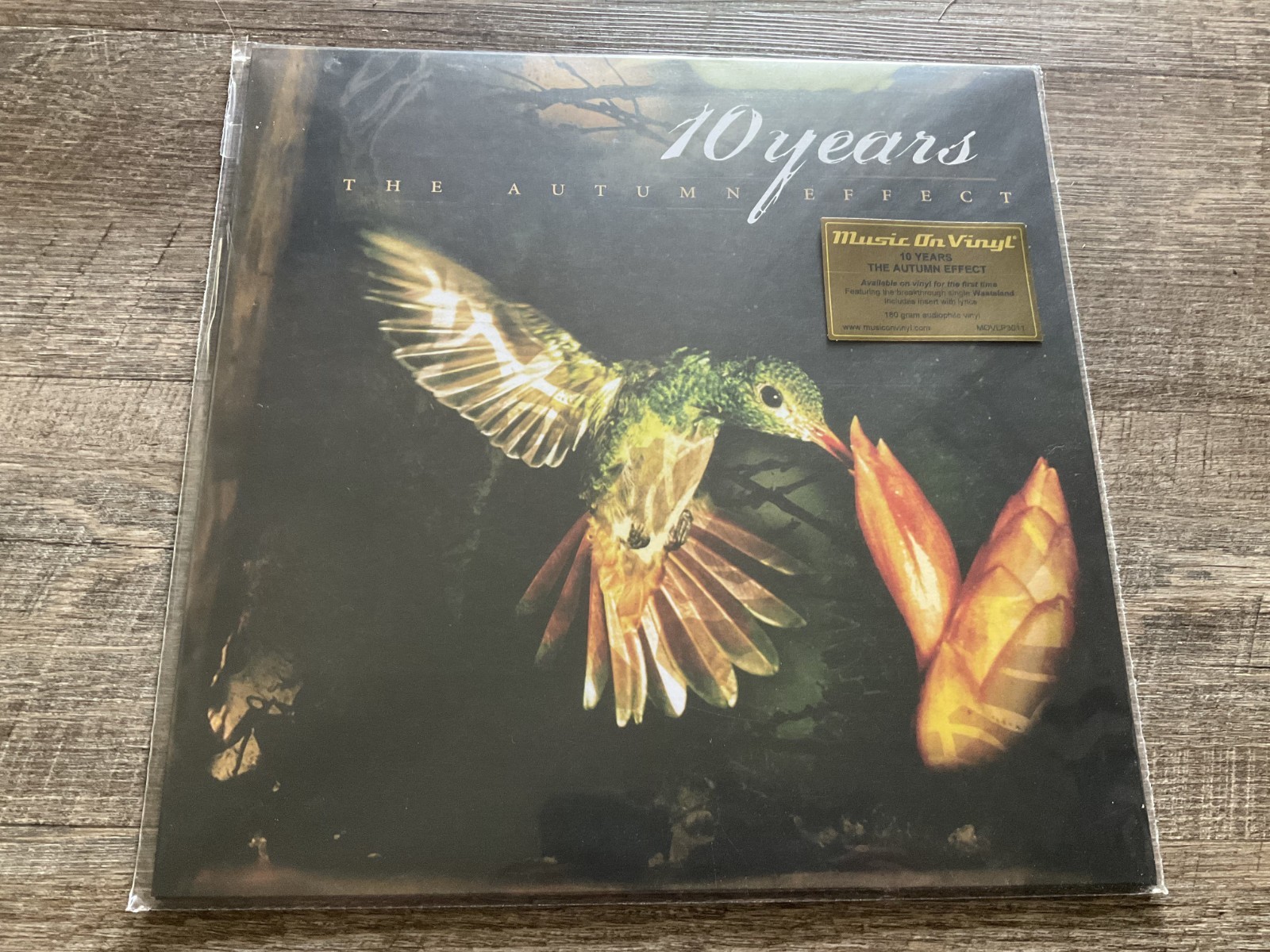 10 Years – The Autumn Effect Vinyl LP Album – NEW & SEALED