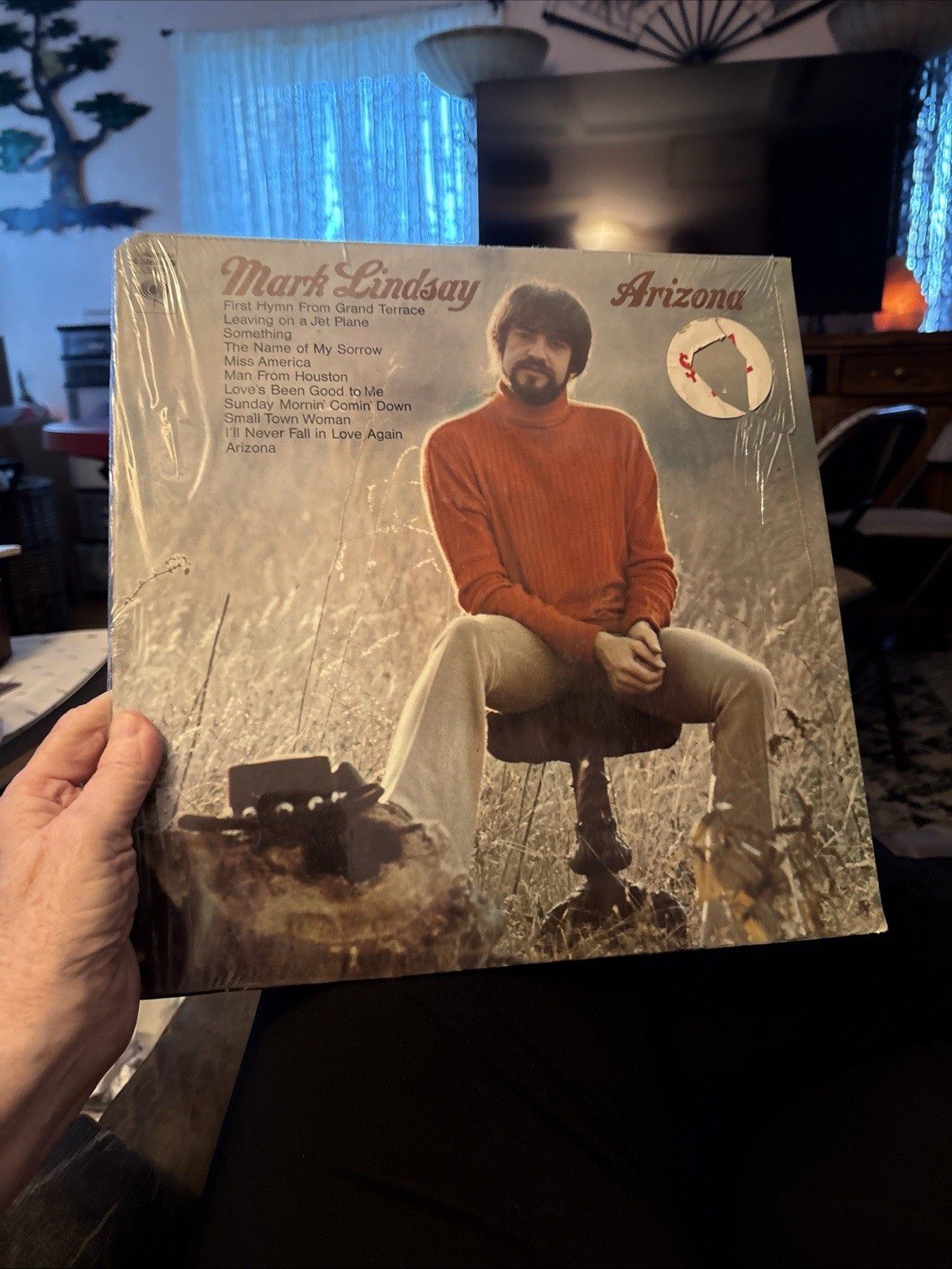 Mark Lindsay – Arizona LP 1970 CS-9986 VINTAGE 360-Sound VG