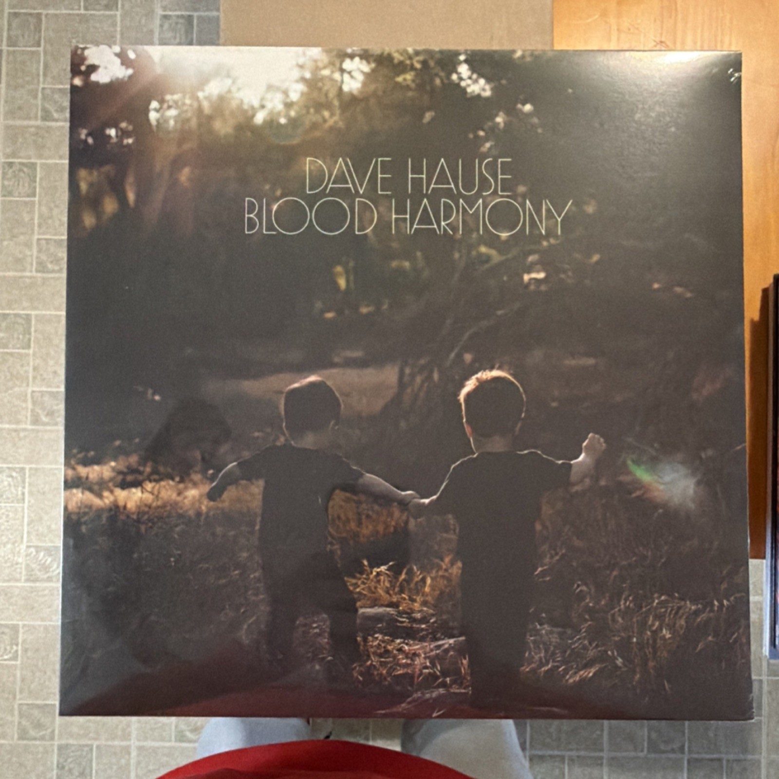 Dave Hause Blood Harmony Vinyl LP Soundly Music 2021 English 2020s Record Album