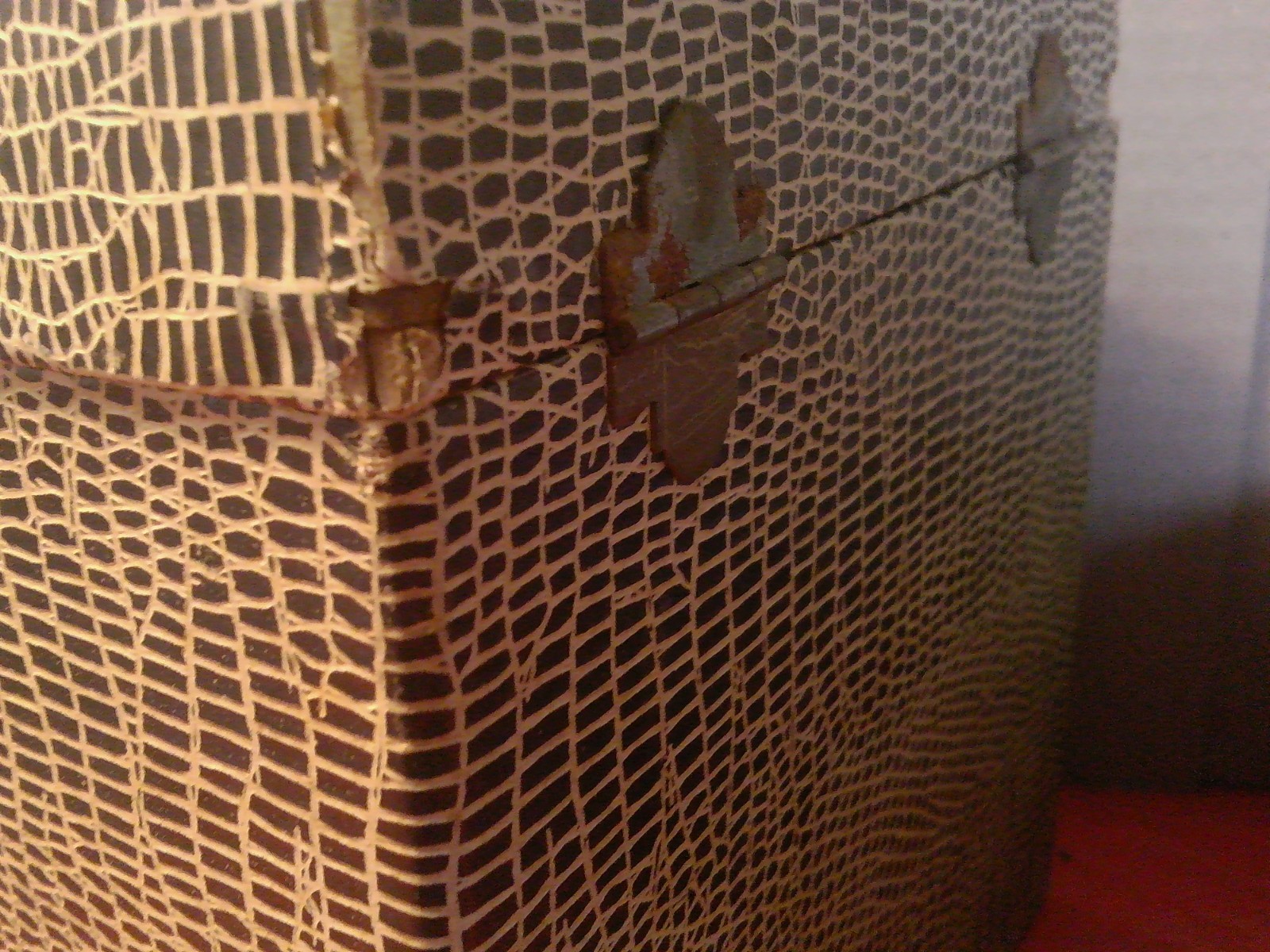 Faux Snakeskin 45 RPM CASE & (50) 1950’s-60’s Doo Wop R & B 45’s See Photos