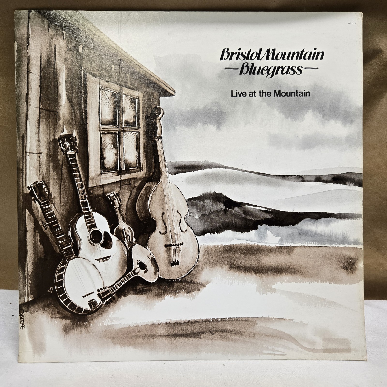 Original 1980 Bristol Mountain Bluegrass “Live At The Mountain” LP – NM