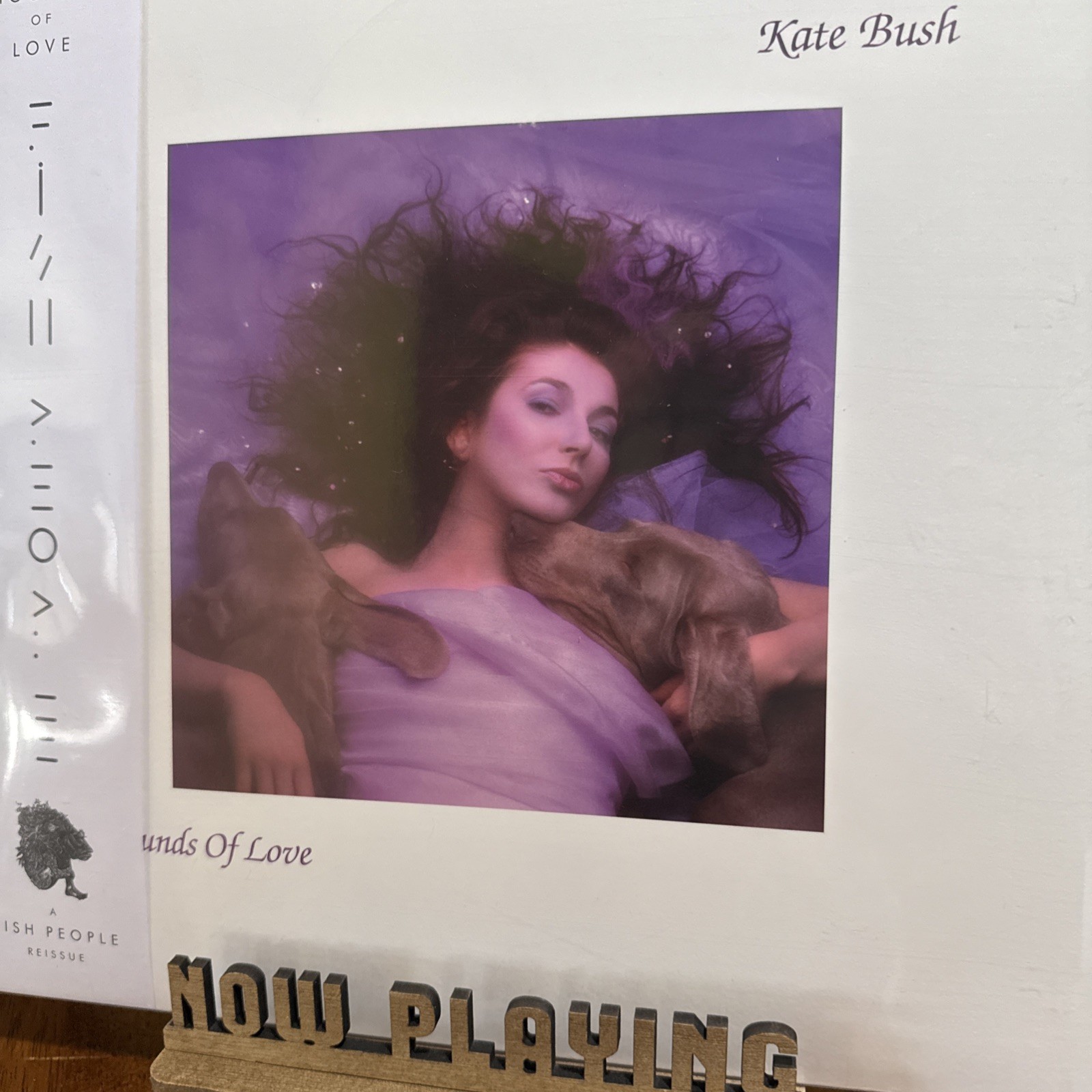 Kate Bush – Hounds Of Love LP NEW COLOR VINYL