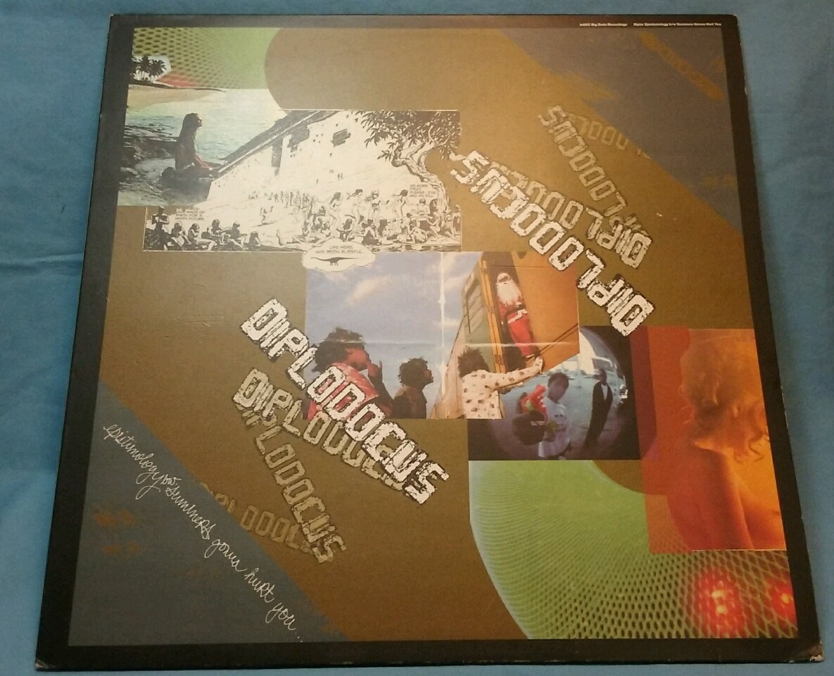 DIPLODOCUS EPISTRIMOLOGY b/w SUMMERS GONNA HURT YOU LP BIG DADA RECORDS bd062