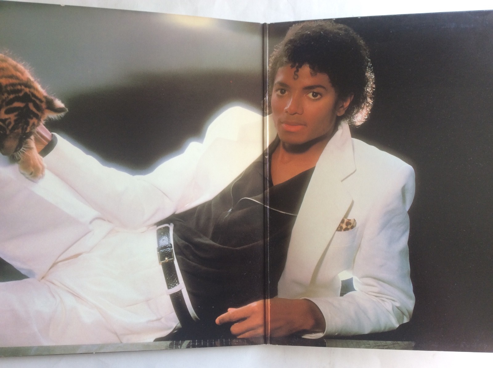 Michael Jackson-Thriller-1982 Original-Vinyl-Record-Album-Epic-QE -38112