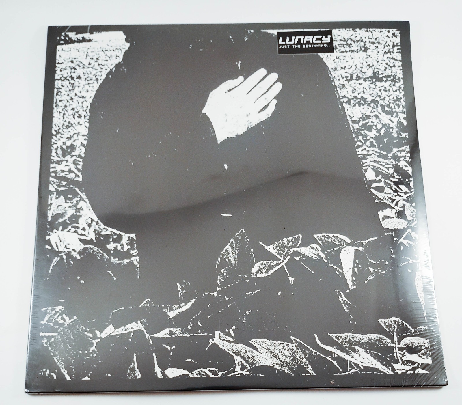 Lunacy – Just The Beginning… Underground Indie Rock Vinyl LP Experimental/Art