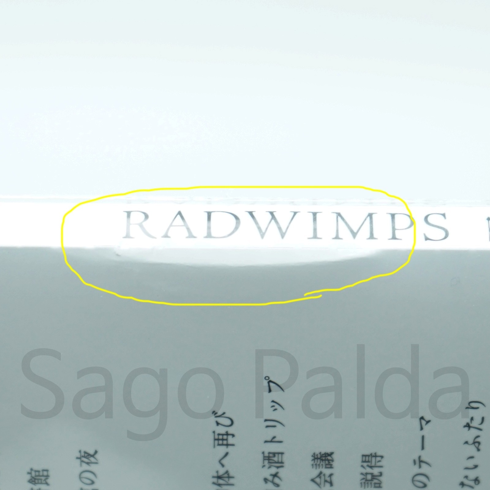 RADWIMPS Your Name OST LP Vinyl Black Kimi No Na Wa 君の名は 2016 NEW Condition