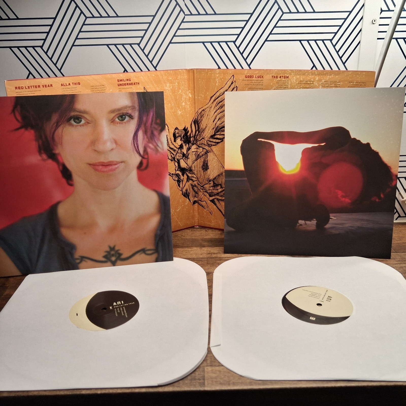 ANI DIFRANCO RED LETTER YEAR LP x 2 MINT