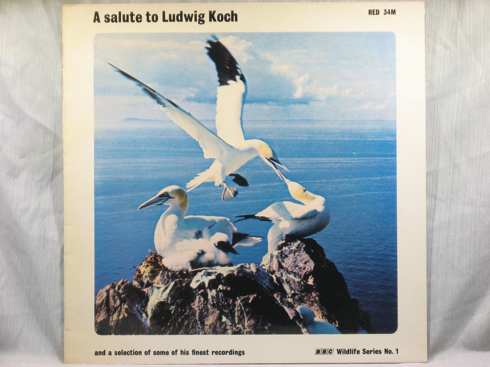 A Salute to Ludwig Koch – BBC Wildlife Series No. 1 RED 34M