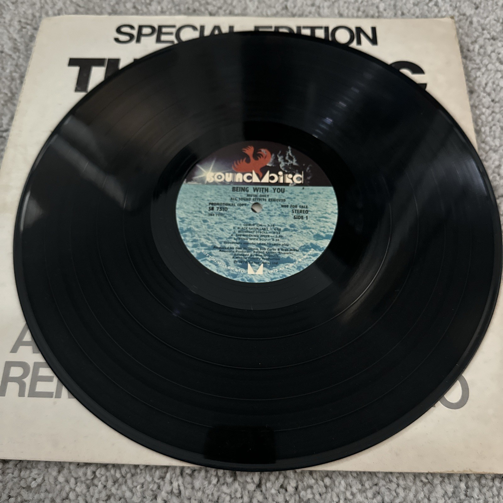 SPECIAL EDITION Mystic Moods Being With You MUSIC ONLY Sound Effects Removed LP