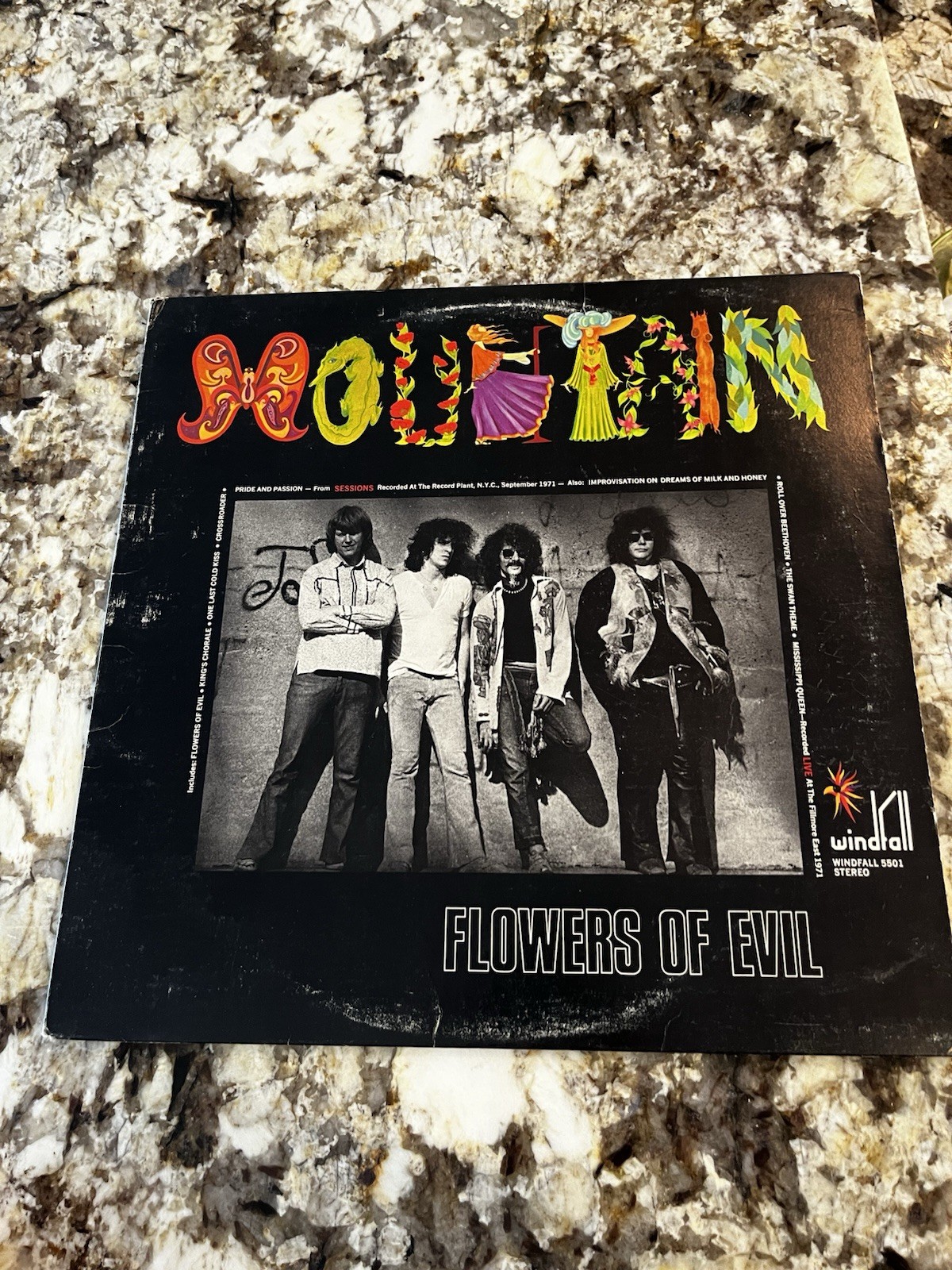 Flowers Of Evil [Black Vinyl] by Mountain LP record #64 Vintage Album Classic