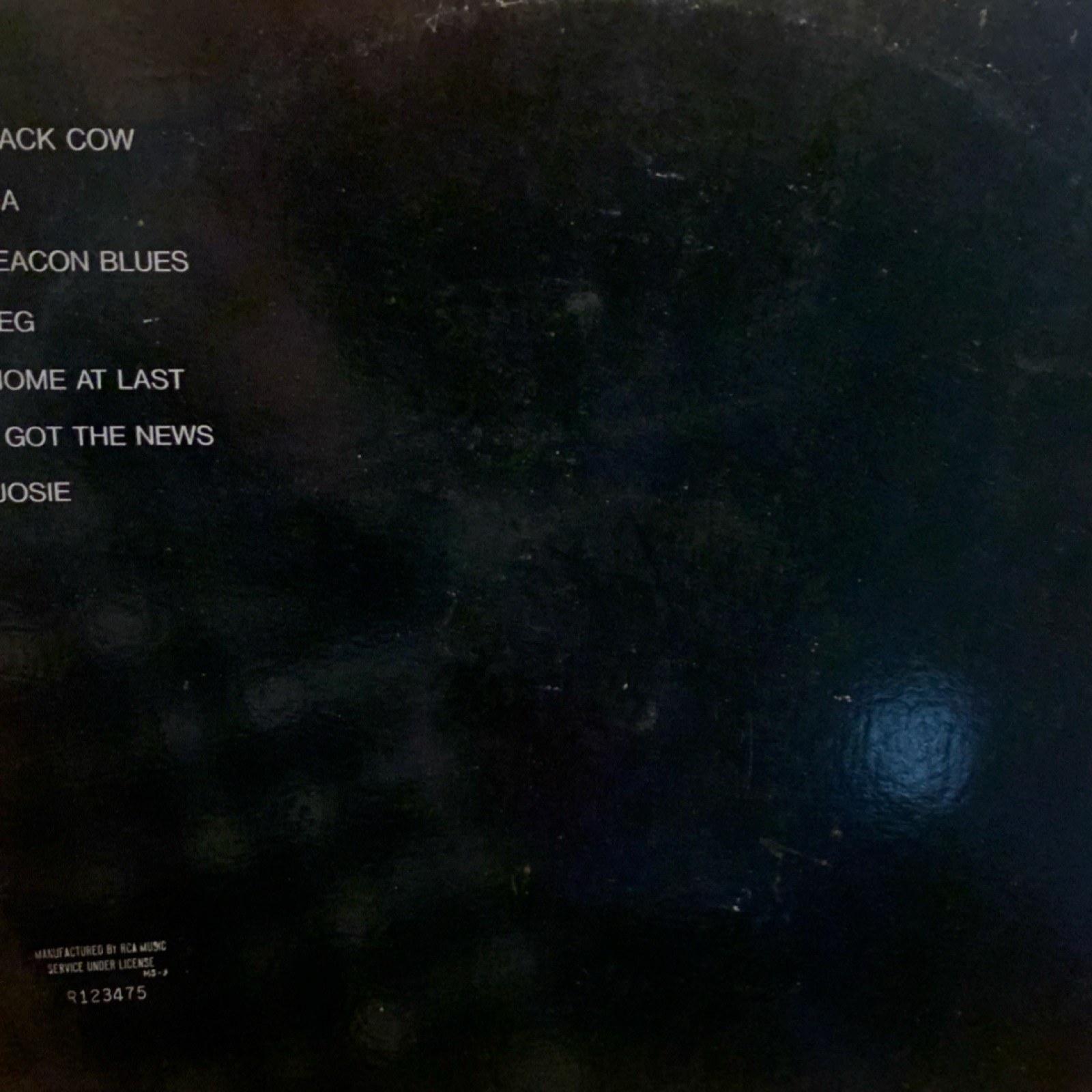 Steely Dan Aja Black Vinyl Record RCA Music Service R123475