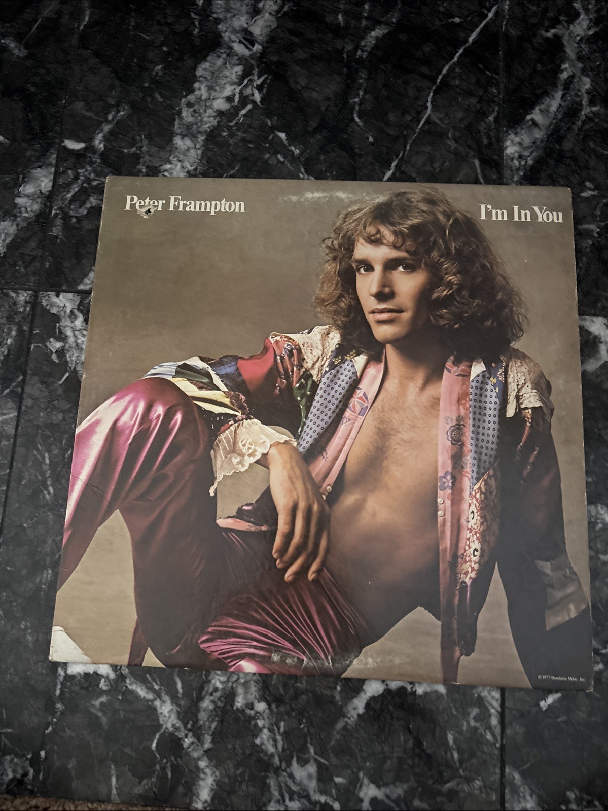 Peter Frampton, I’m In You (Vinyl 1977 Music Album) w/inner
