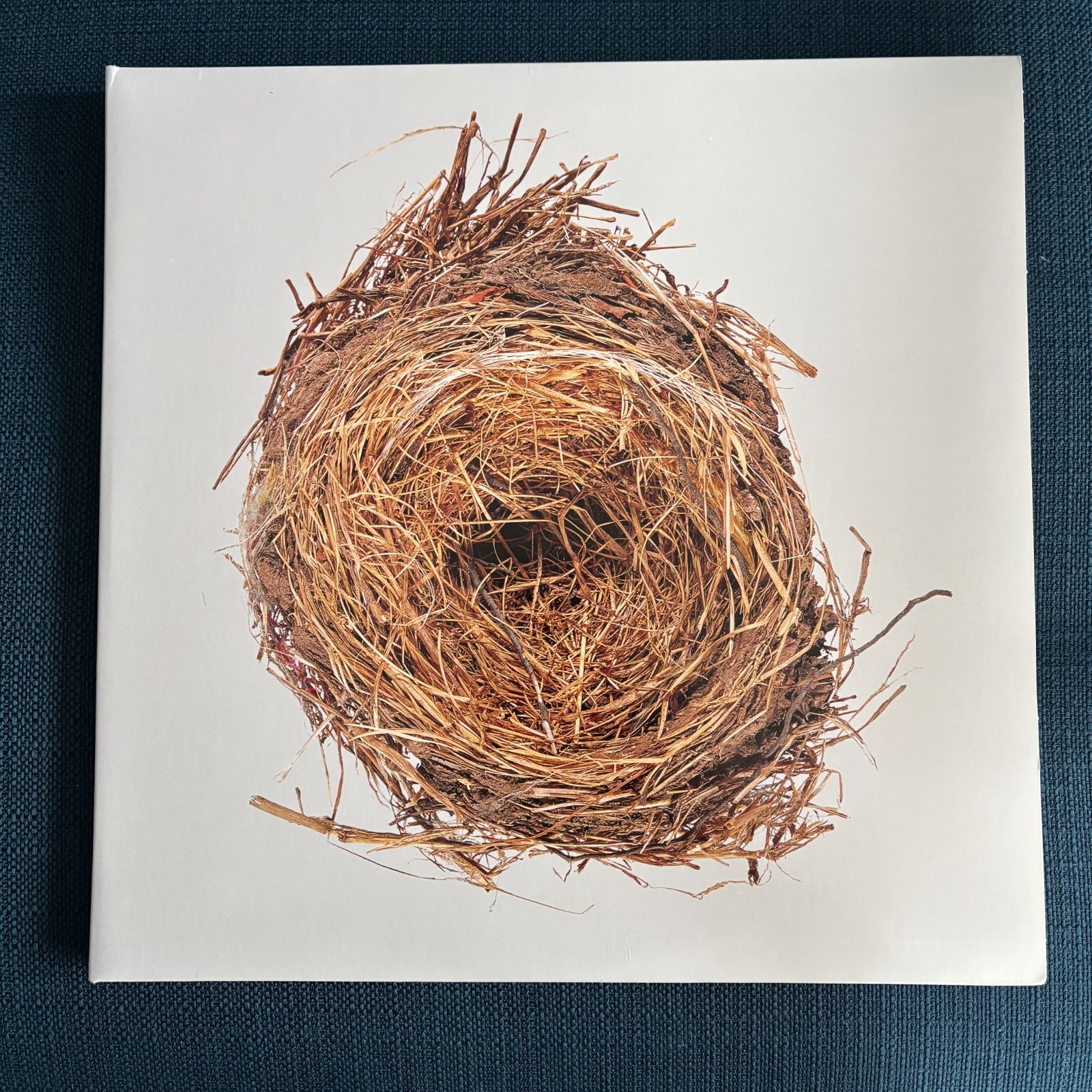 A Ghost is Born vinyl – Wilco – Nonesuch Rhino 2010s Pressing 2LP