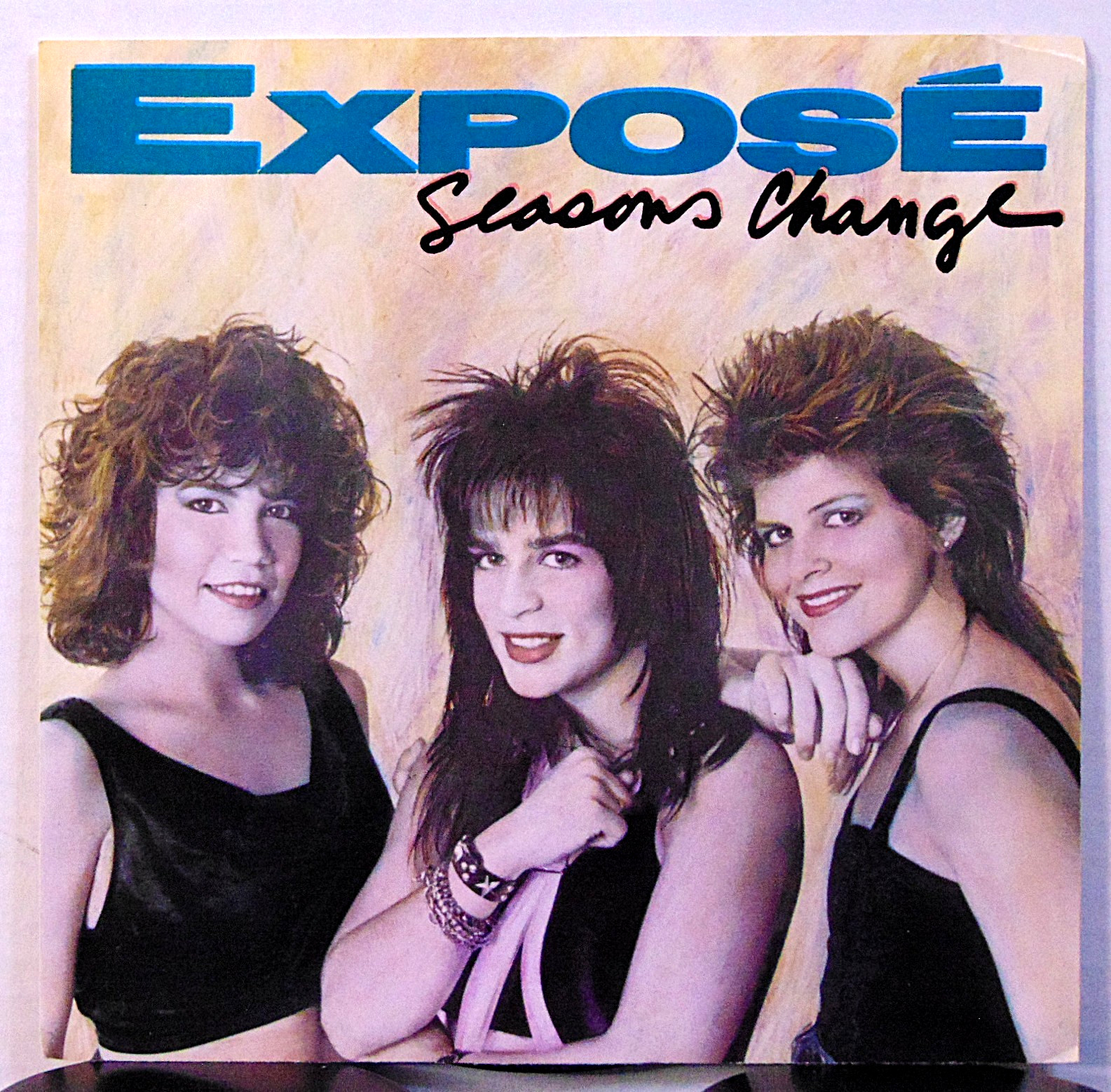 Exposé – Seasons Change – 1987 Arista Pop Dance 45 RPM 7″ Single Record + Pic