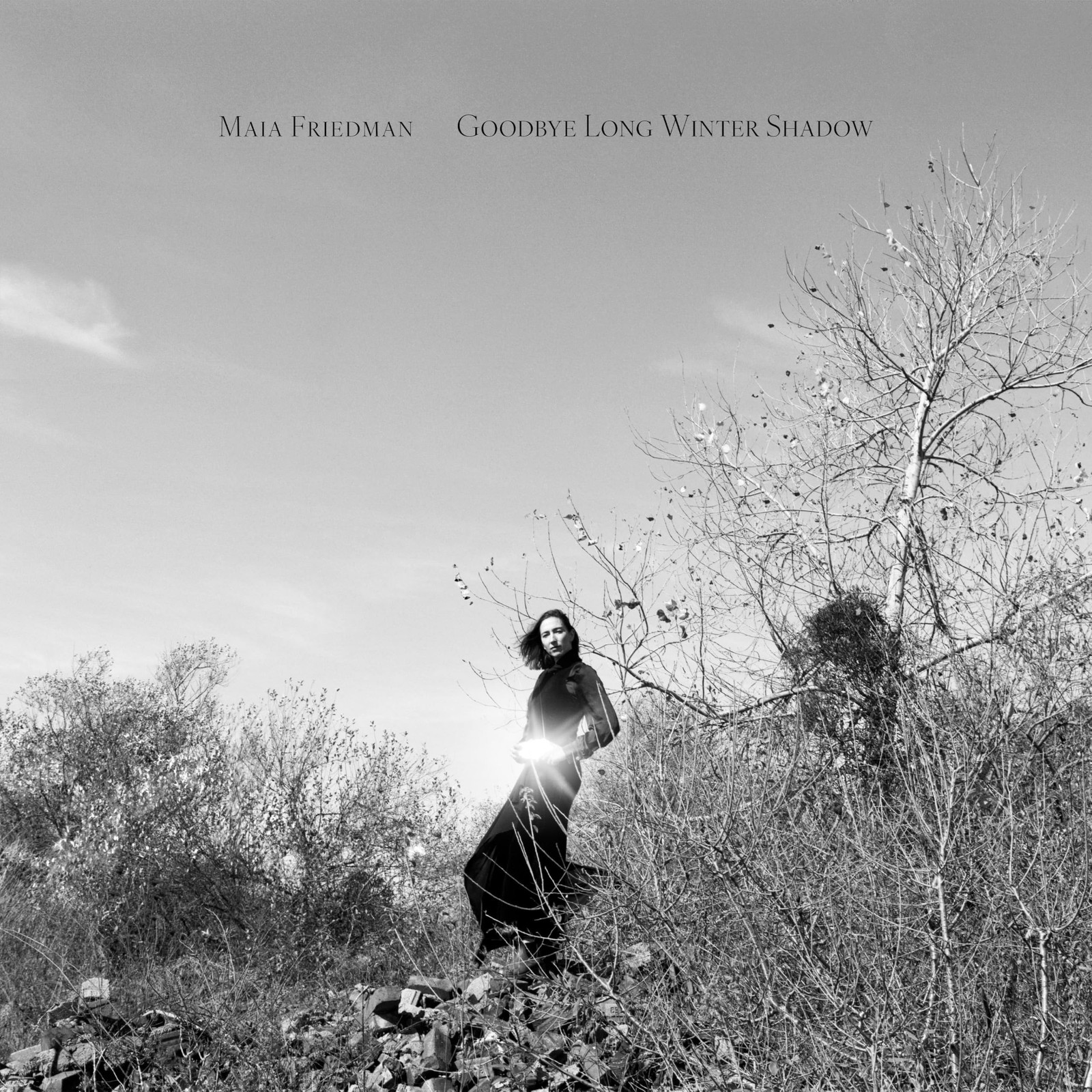 Maia Friedman Goodbye Long Winter Shadow (Vinyl)