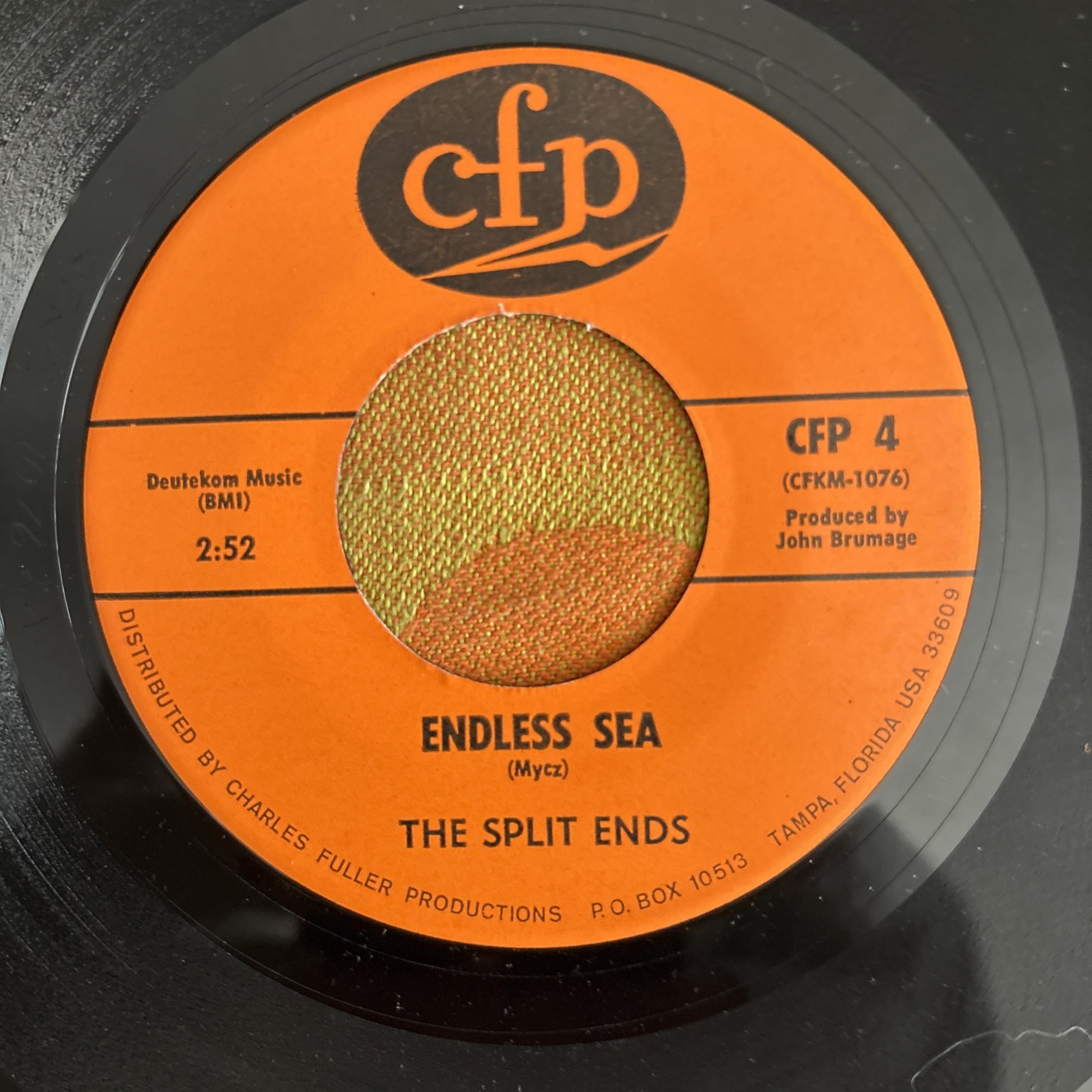 The Split Ends The Endless Sea Rich With Nothin’ Garage Rock US 45 7”
