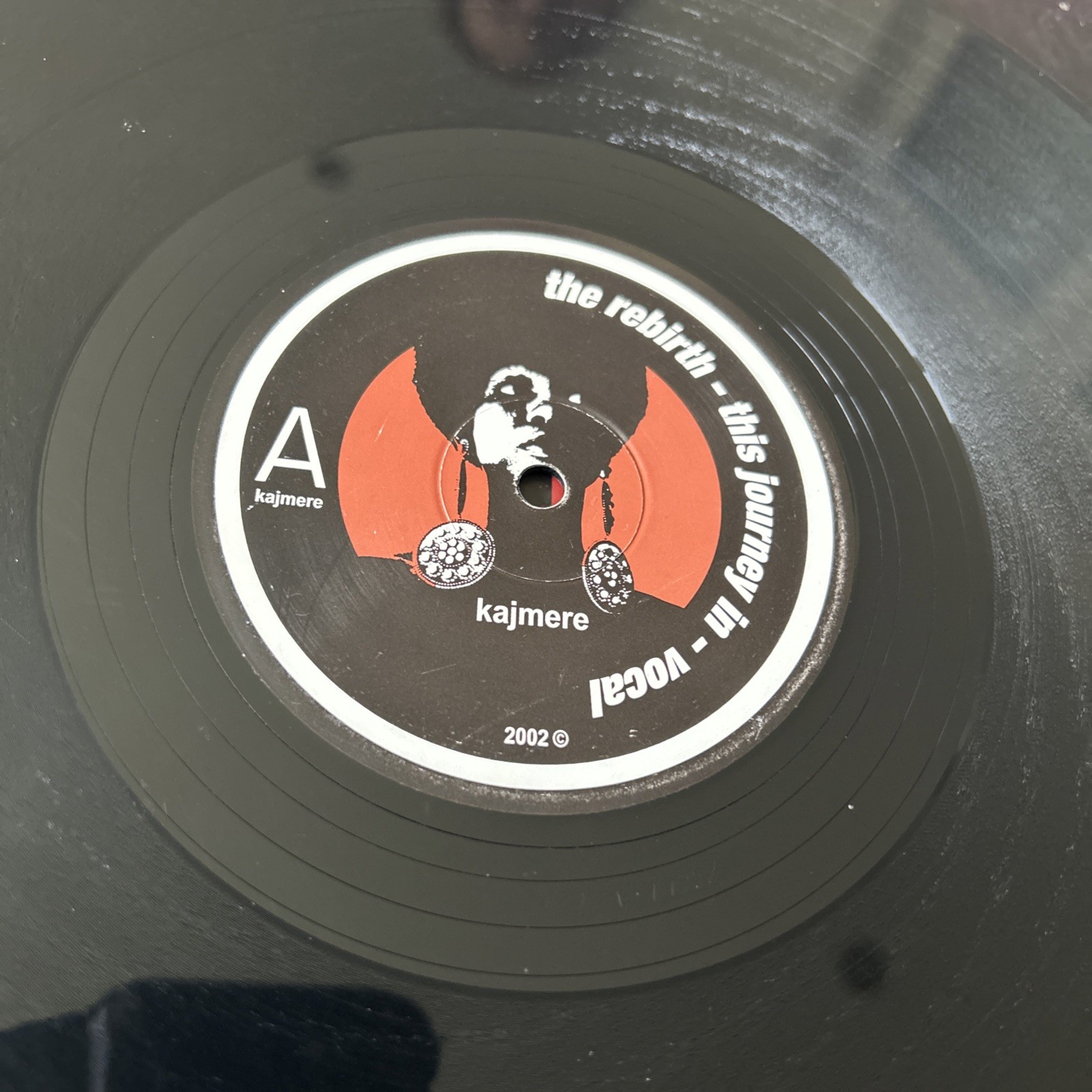 The Rebirth – This Journey In, 12″, (Vinyl)