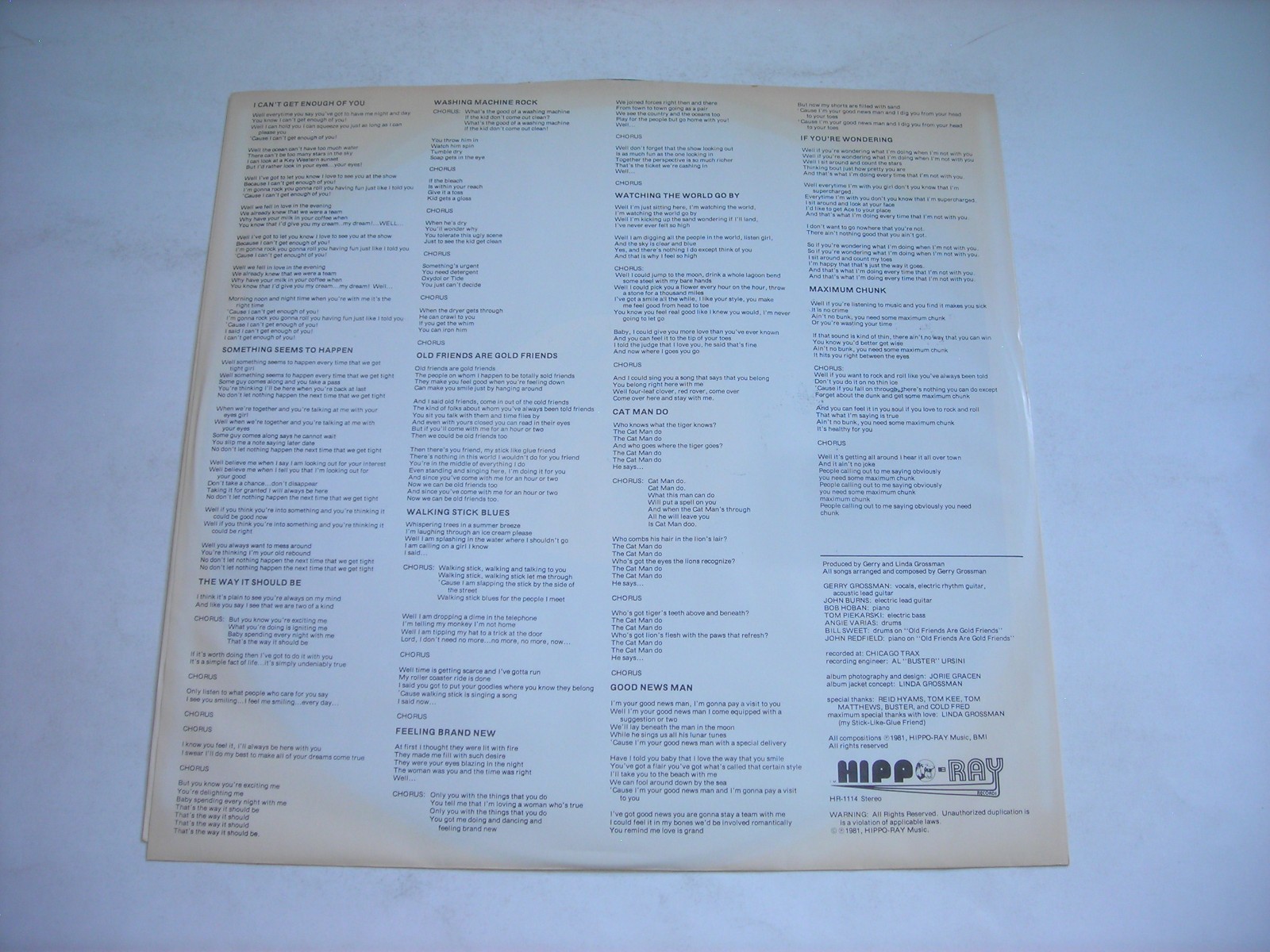 SIGNED Gerry Grossman Not Available in any Store 1981 Stereo LP VG++