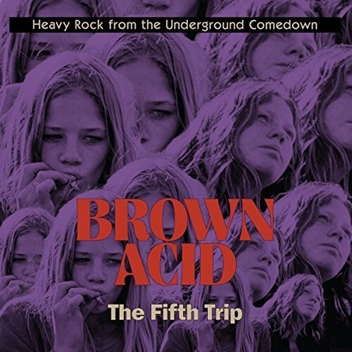 Various Artists – Brown Acid – The Fifth Trip (Various Artists) [New Vinyl LP]