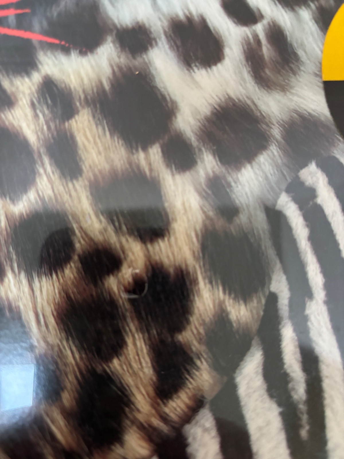 KISS ANIMALIZE 1984 SEALED LP with HYPE STICKER
