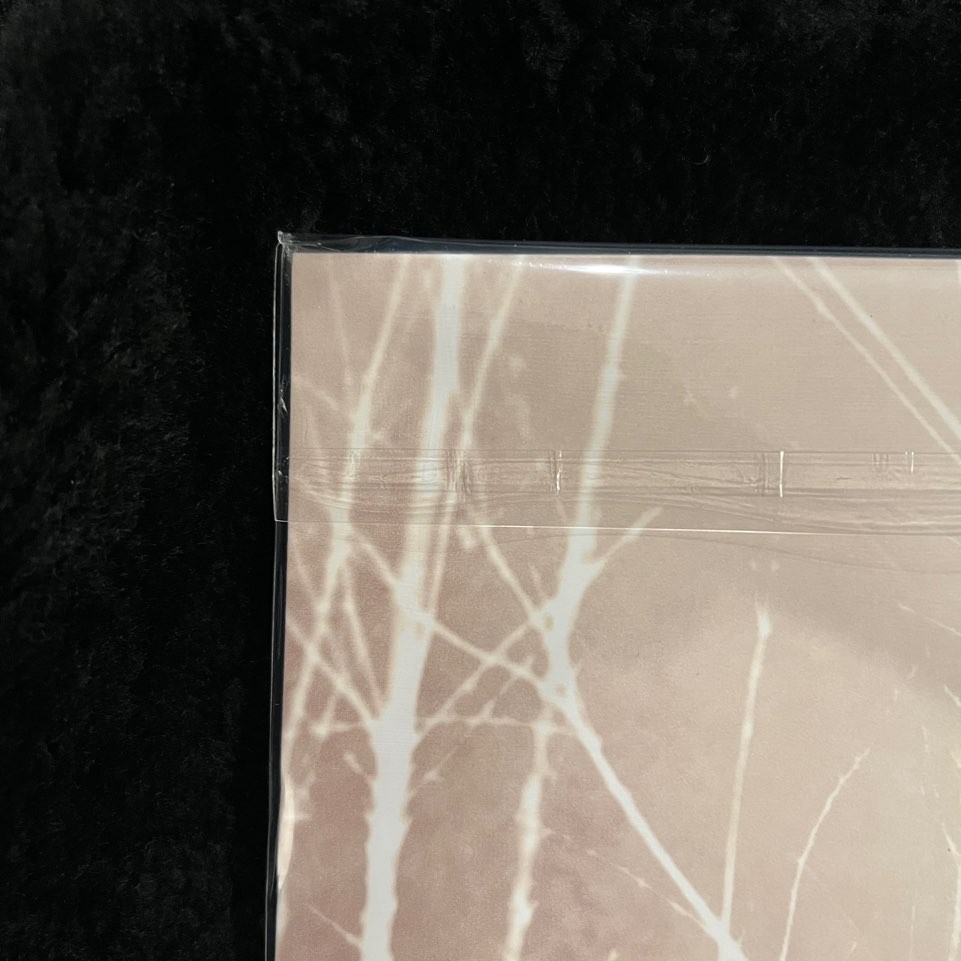 AFI – Decemberunderground IVC Edition – [New, Perfect Mint, Ships Double Boxed]