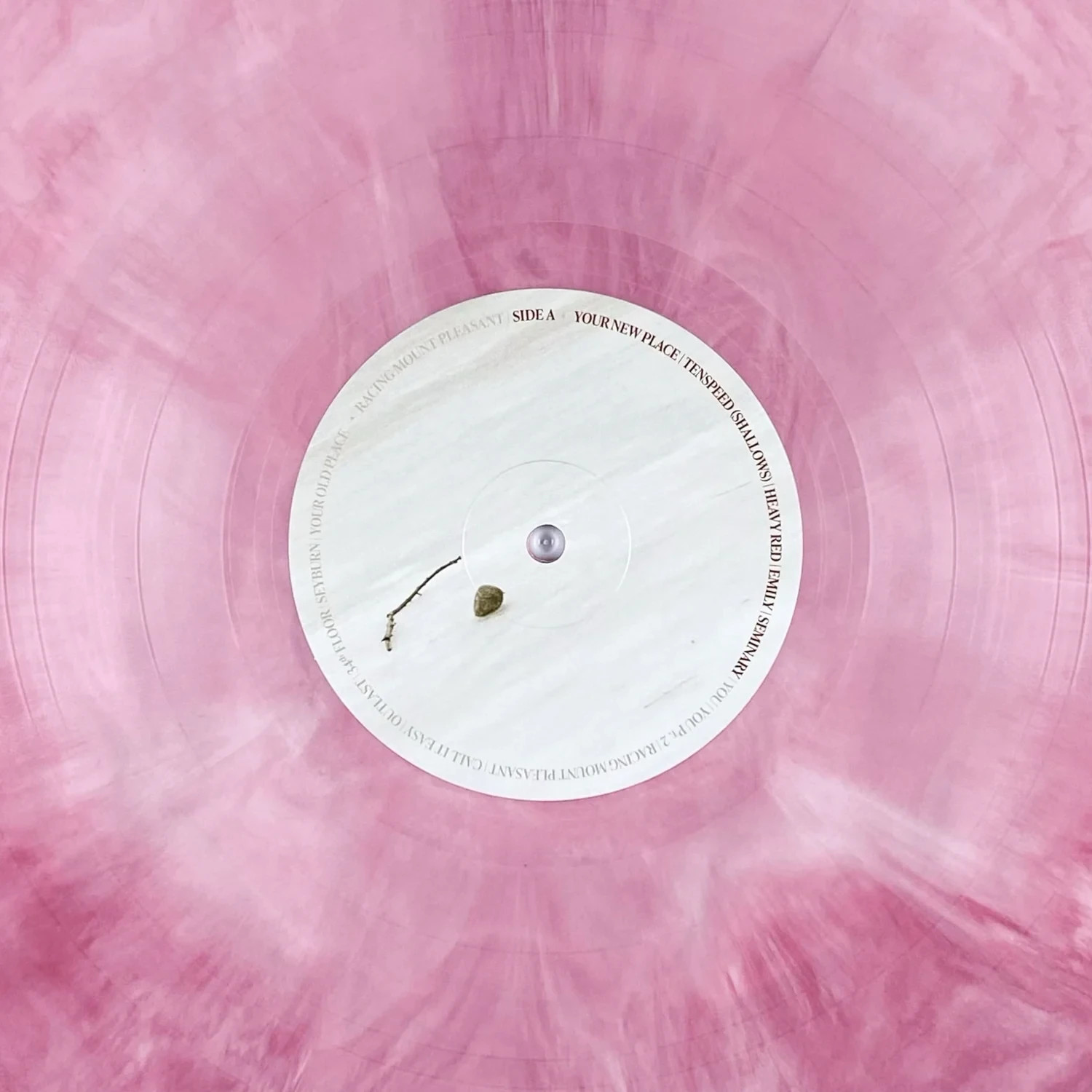 Racing Mount Pleasant (Colored Vinyl) Vinyl 2LP – Turntable Lab – Presale