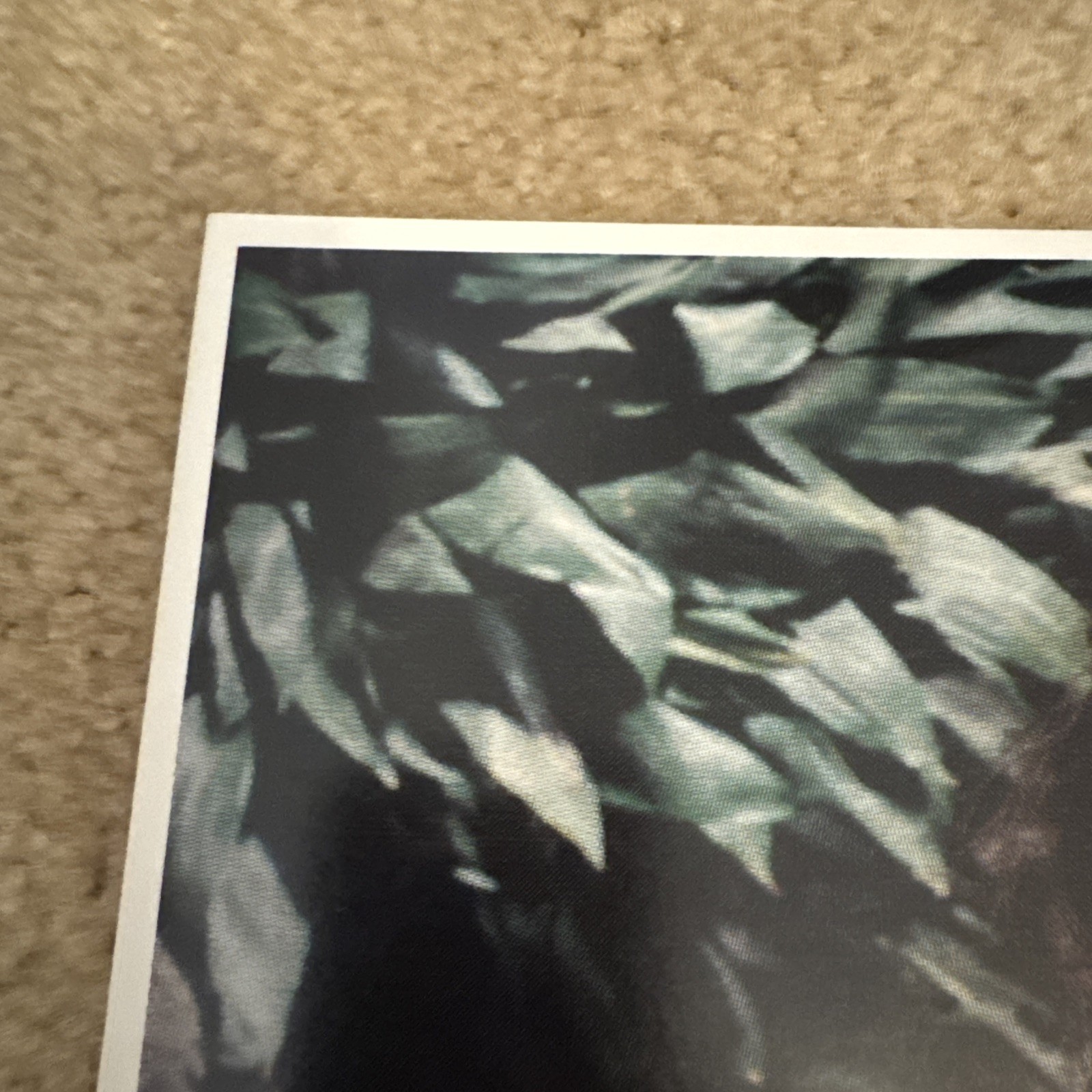 Something Corporate Leaving Through the Window 2xLP White 1st Pressing 5 G2U