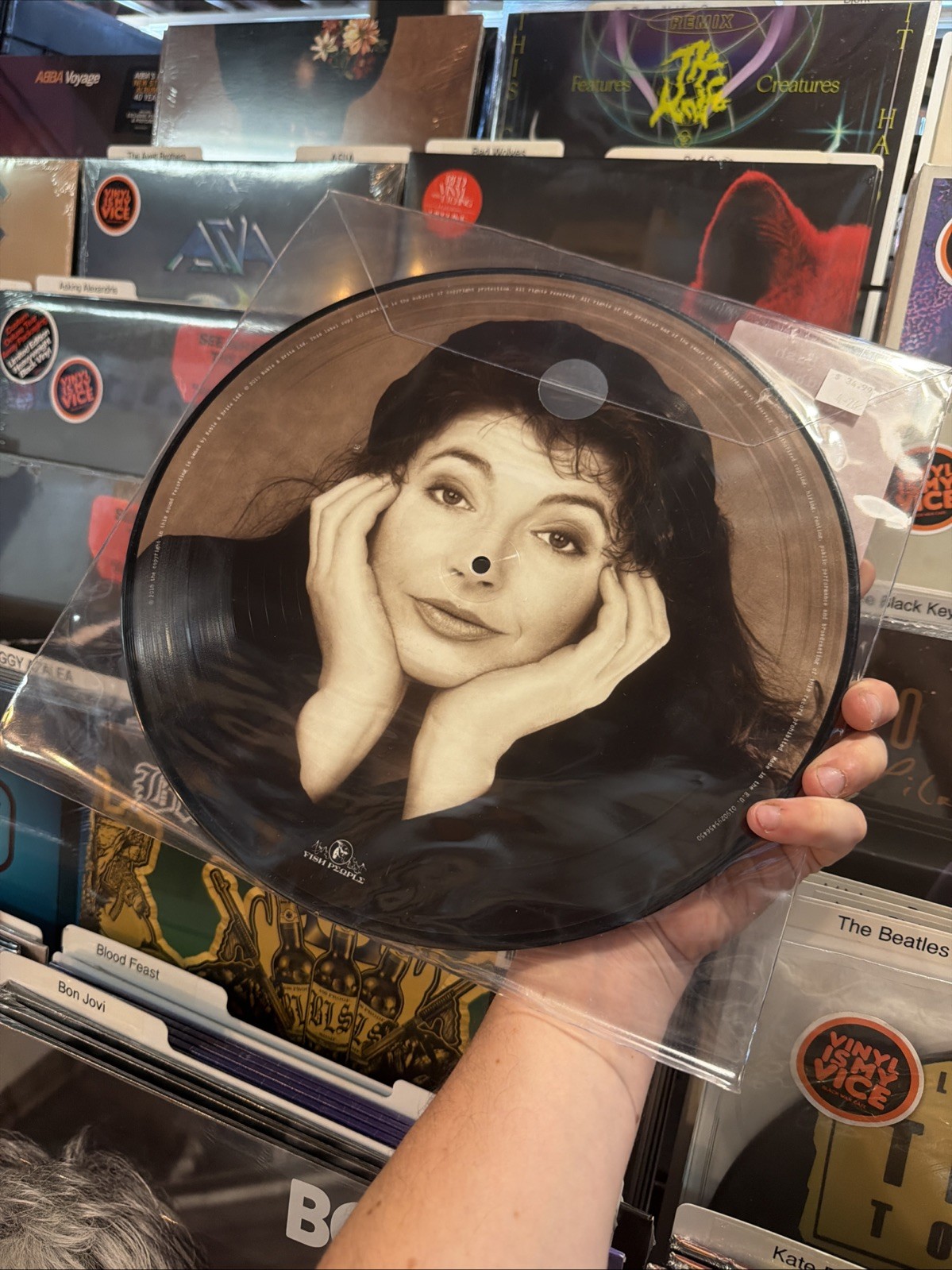 Cloudbusting by Kate Bush (Record, 2019)