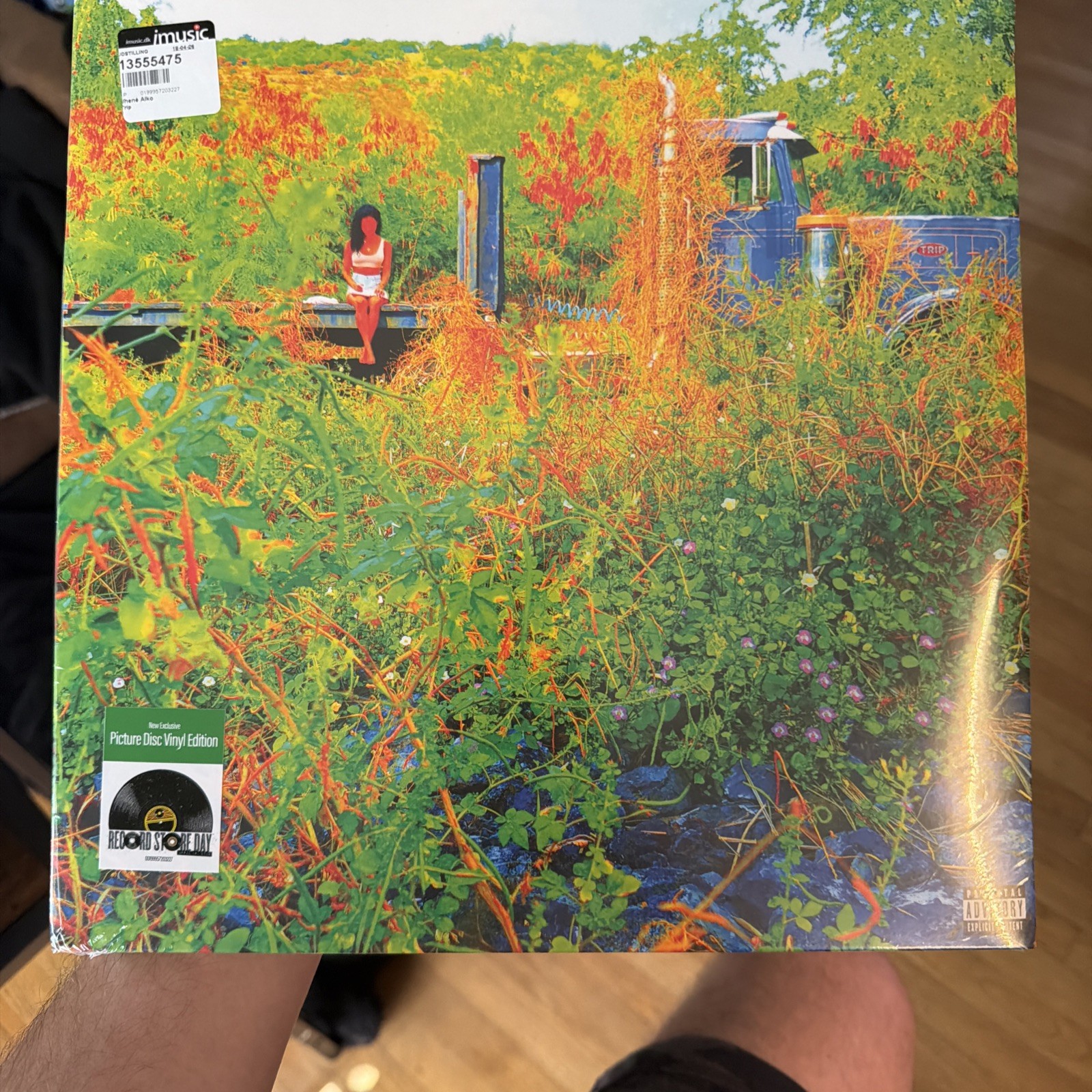 Jhene Aiko – Trip – 2026 RSD Vinyl 2 LP Picture Disc – Record Store Day