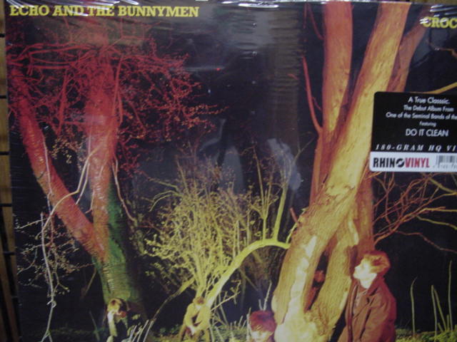 ECHO & BUNNYMEN S/T VERIFIED 180 GRAM LIMITED FIRST EDITION AUDIOPHILE RARE LP